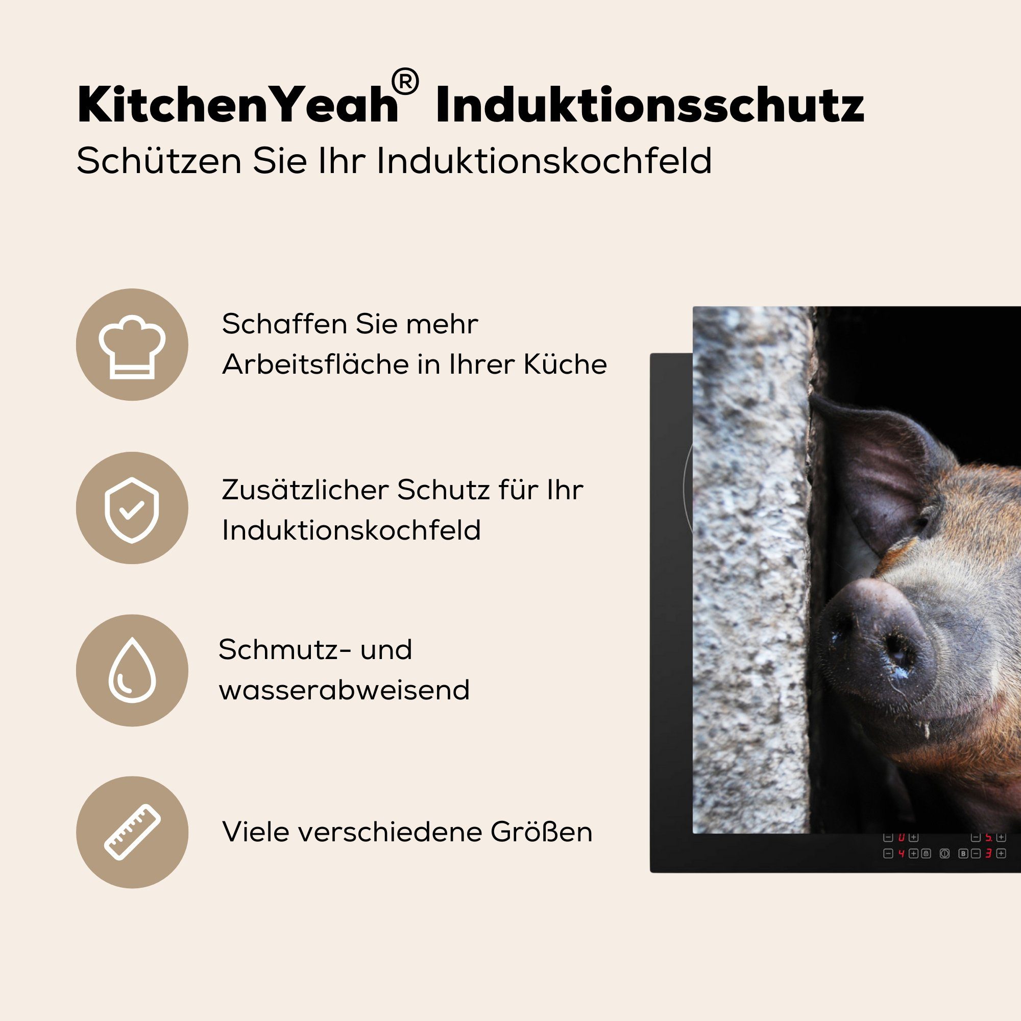 Vinyl, Stein, küche, für Tier Schwein die Herdblende-/Abdeckplatte - tlg), Induktionskochfeld cm, Ceranfeldabdeckung Schutz - MuchoWow 81x52 (1