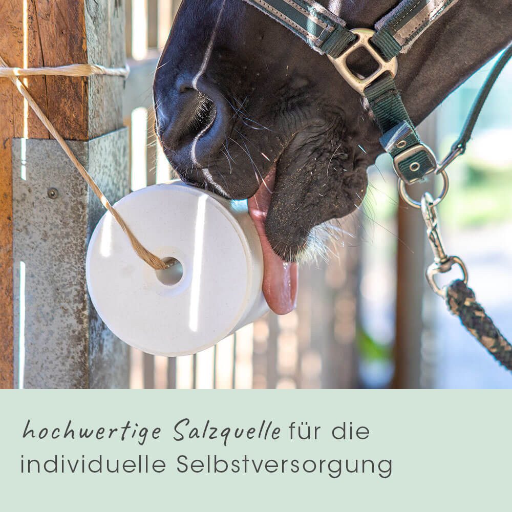 cdVet Leckstein Meersalz Vitalis 3 kg (MHD 08.03.26), Snack für: Pferd, Ziege, Rind, Schaf, Kann in ökologischen/biologischen Produktion verwendet werden.