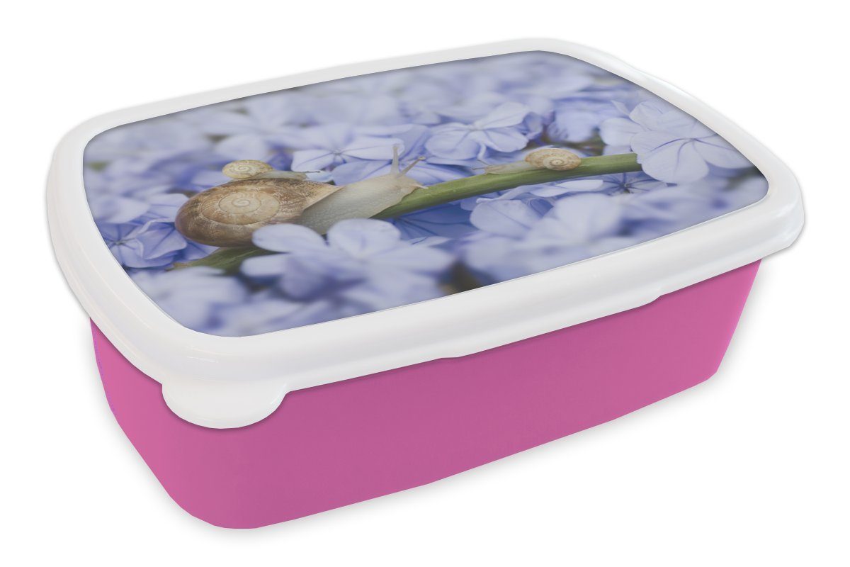 Erwachsene, MuchoWow rosa Kunststoff Tiere, Kunststoff, für Snackbox, Schnecke Blumen Lunchbox Mädchen, Brotdose Brotbox (2-tlg), - - Kinder,