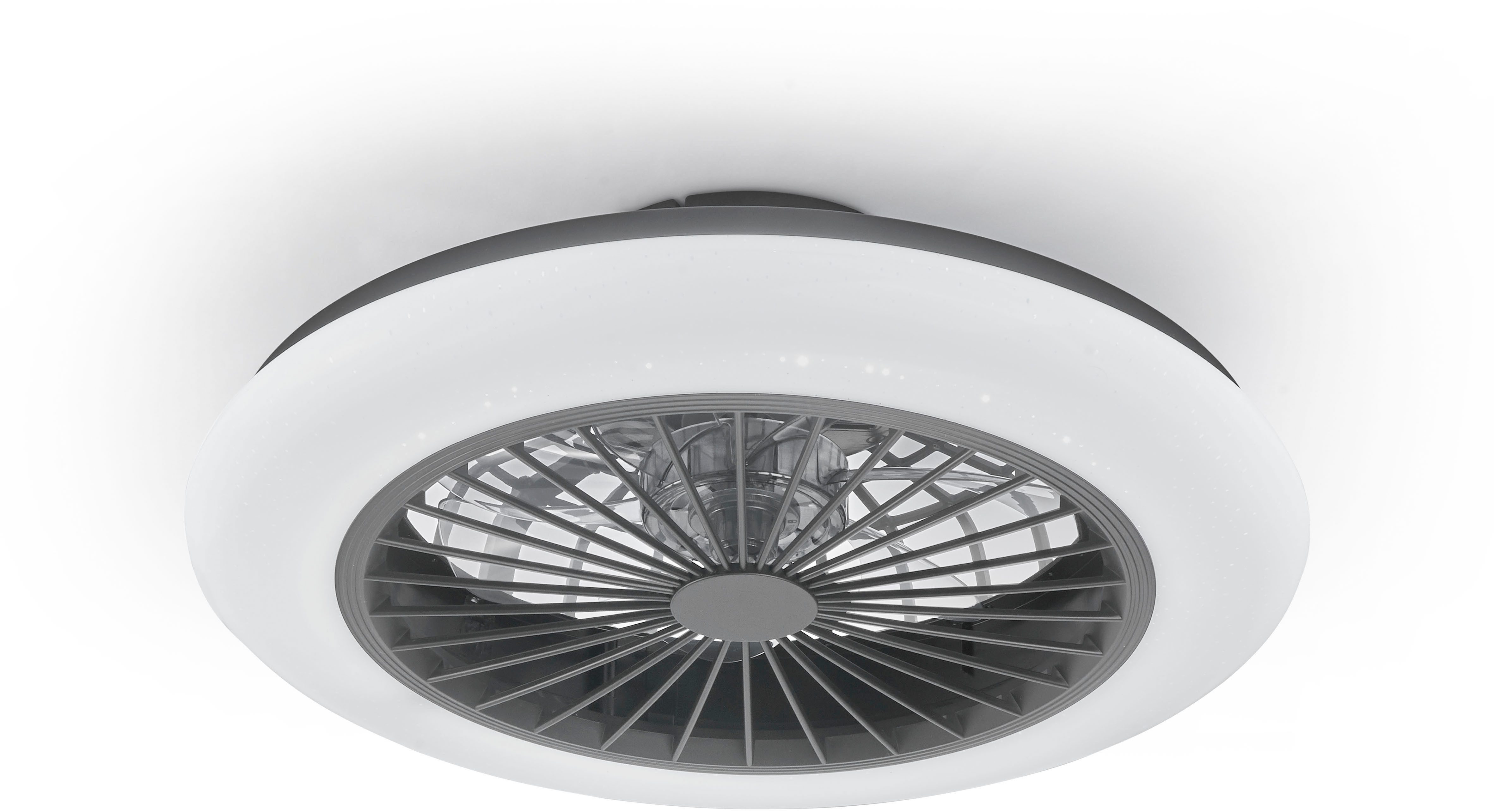 Reality Leuchten LED Deckenleuchte Stralsund Deckenventilator, CCT - über Fernbedienung, Dimmfunktion, Memoryfunktion, Nachtlichtfunktion, Timerfunktion, Ventilatorfunktion, LED fest integriert, warmweiß - kaltweiß, Deckenlampe, Ventilator, Fernbedienung, Ventilator getrennt schaltbar