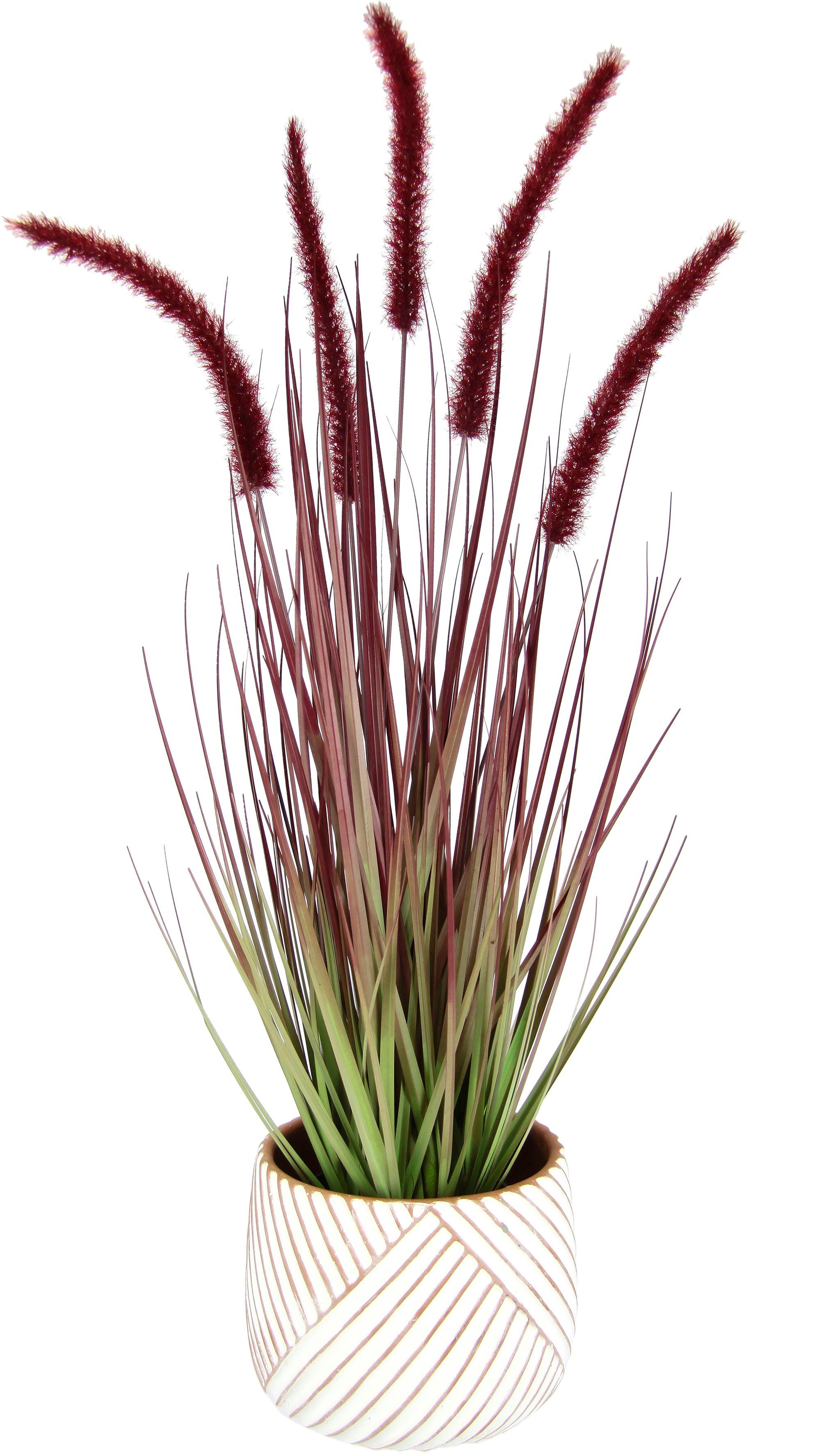 Kunstpflanze Fuchsschwanzgras, I.GE.A., Höhe 67 cm, Mit Übertopf Kunstgras Deko Borstenhirse Panicoideae Setaria