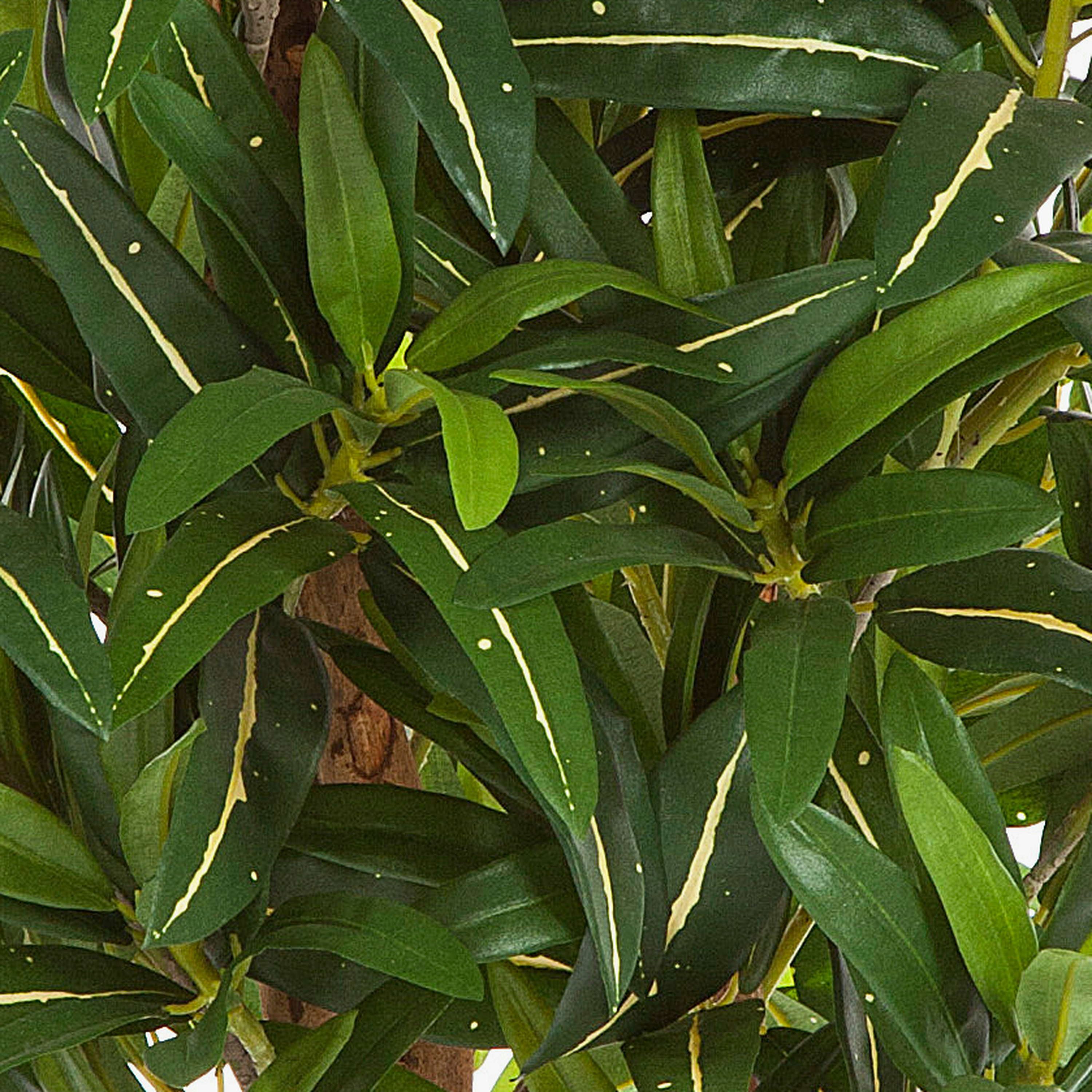 Kunstbaum Künstlicher Goldfinger Baum, 1600 Blätter, grün, 155cm Longifolia, artplants, Höhe 155.0 cm