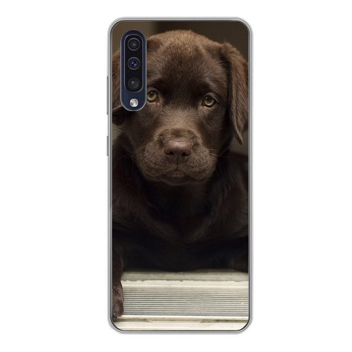 MuchoWow Handyhülle Niedlicher Labrador Retriever schaut in die Kamera Handyhülle Samsung Galaxy A50 Smartphone-Bumper Print Handy