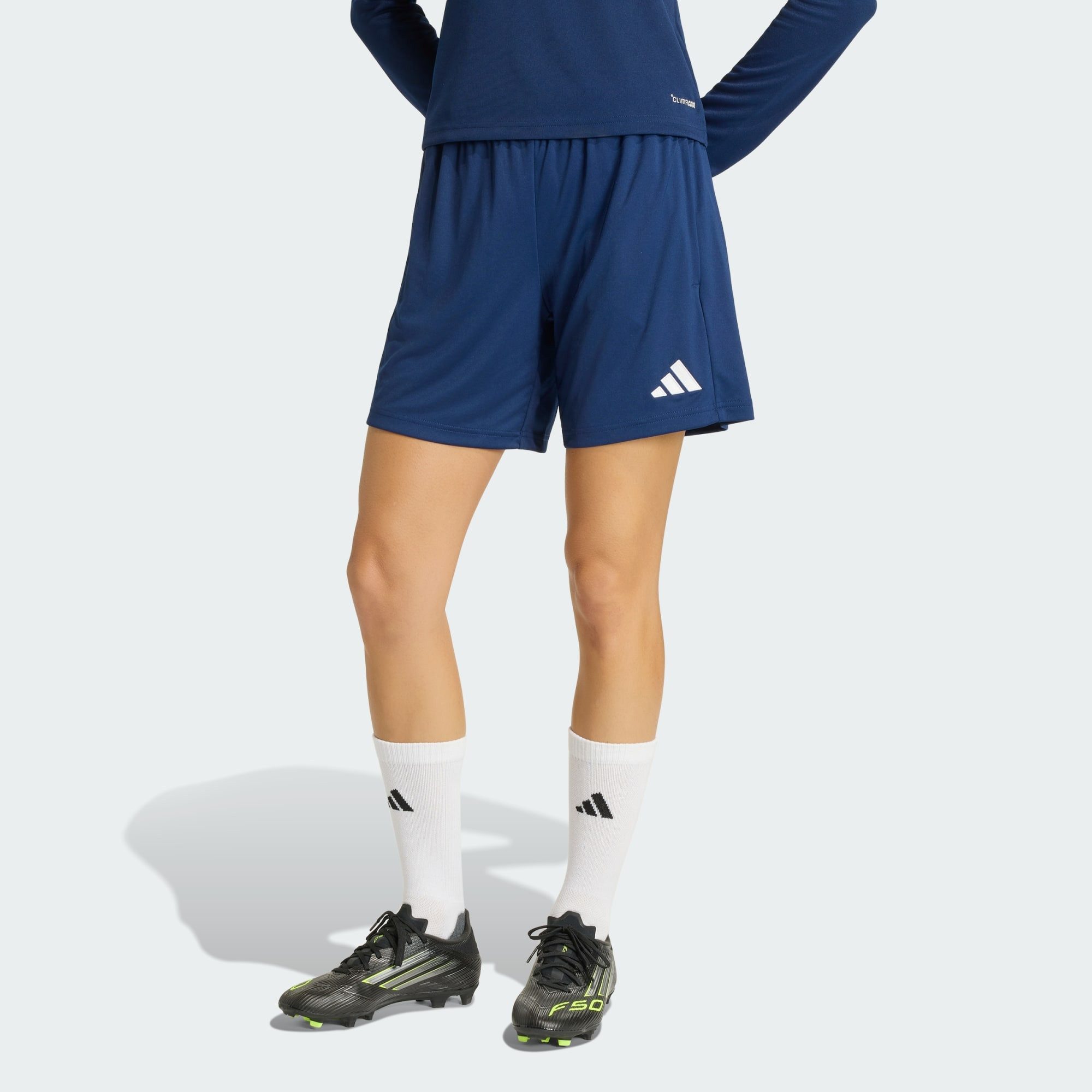 adidas Performance Shorts ENTRADA26 TRAININGSSHORTS (1-tlg)