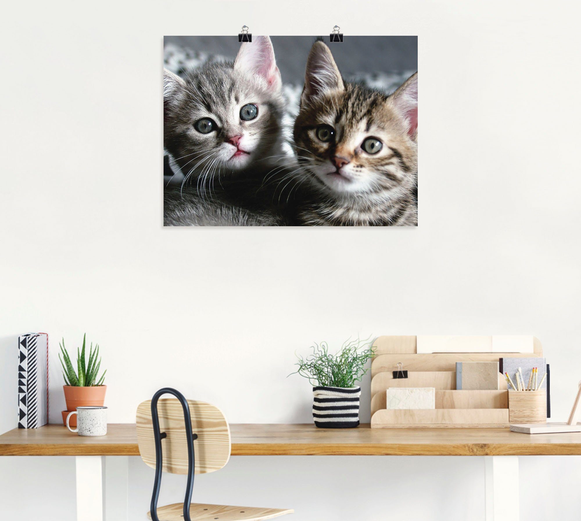 Artland Wandbild Katze, Haustiere (1 St), als Leinwandbild, Poster in verschied. Größen