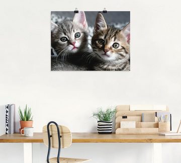 Artland Wandbild Katze, Haustiere (1 St), als Alubild, Outdoorbild, Leinwandbild, Poster, Wandaufkleber