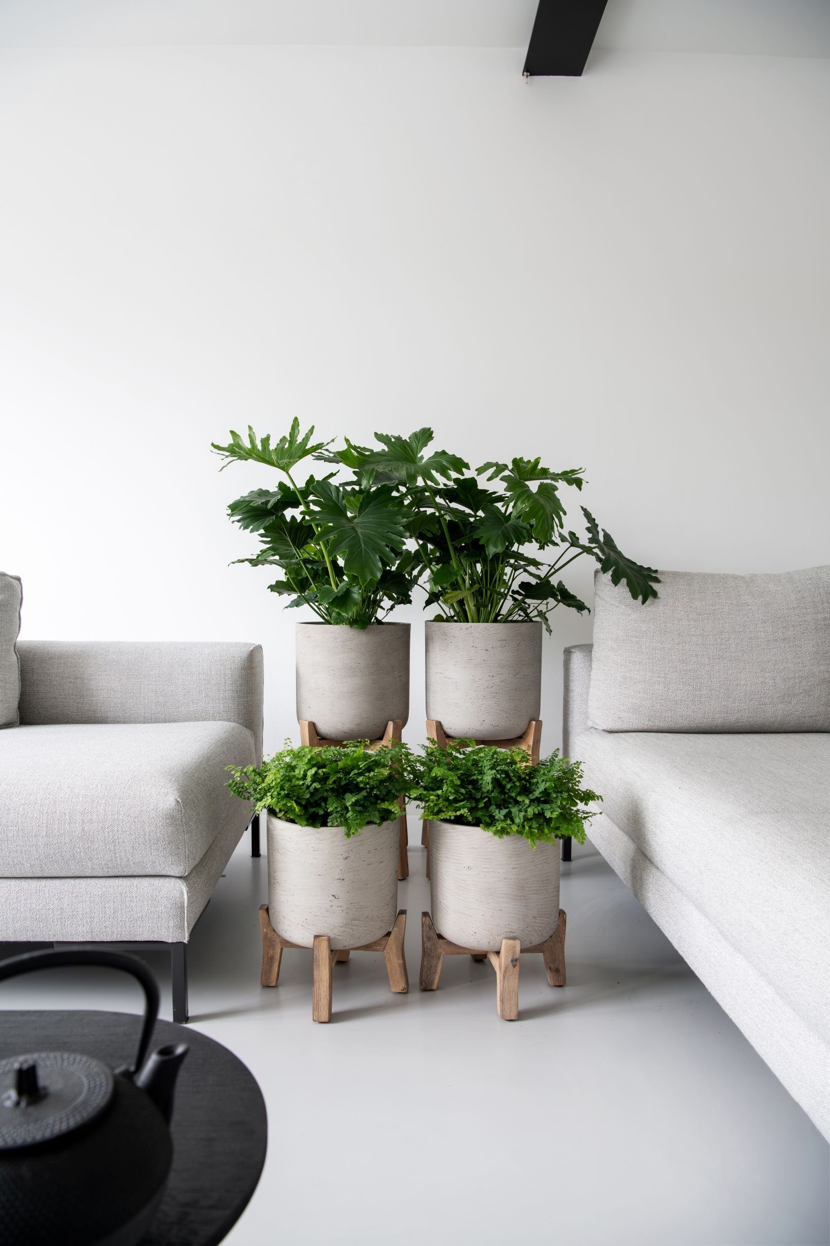 Wohnzimmer Pflanzkübel kaufen » Wohnzimmer Blumenkübel | OTTO