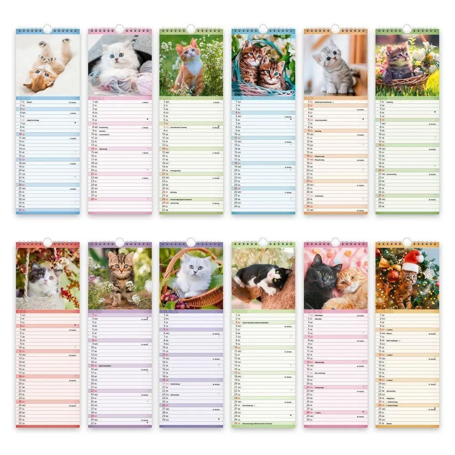 Trötsch Verlag Wandkalender TRÖTSCH - Streifenkalender Katzen 2027 Notizkalender – Bild 3 von 5
