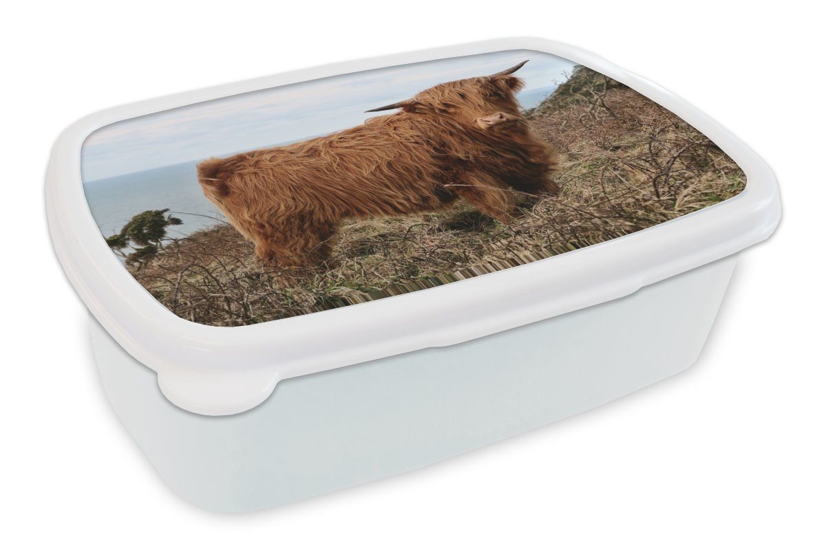 MuchoWow Lunchbox Kuh - Pflanzen - Schottischer Highlander, Kunststoff, (2-tlg), Brotbox für Kinder und Erwachsene, Brotdose, für Jungs und Mädchen weiß