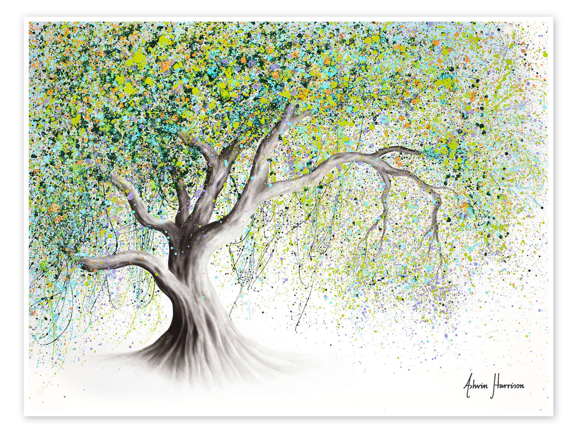 Poster Ashvin Harrison
