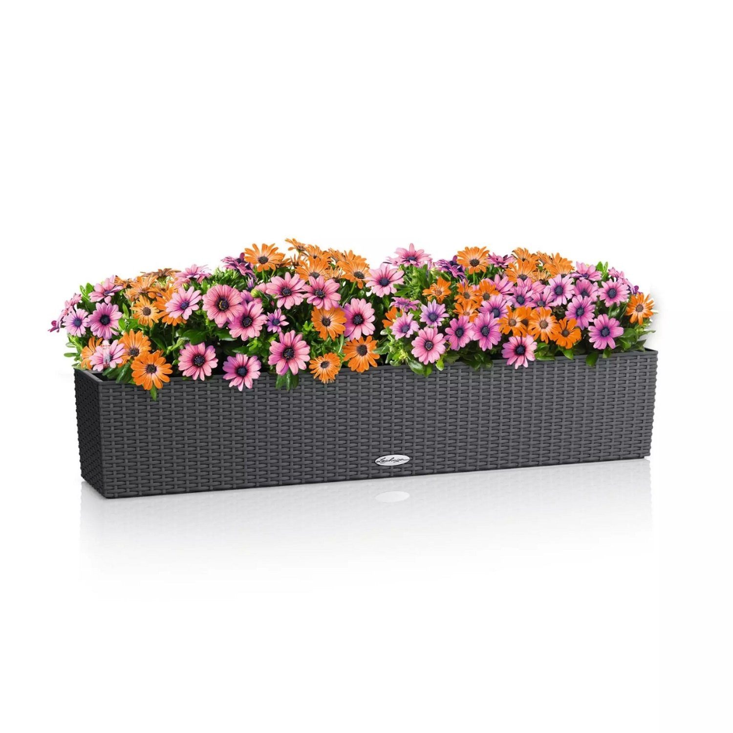 Lechuza® Balkonkasten Balconera Cottage 100 granit günstig online kaufen