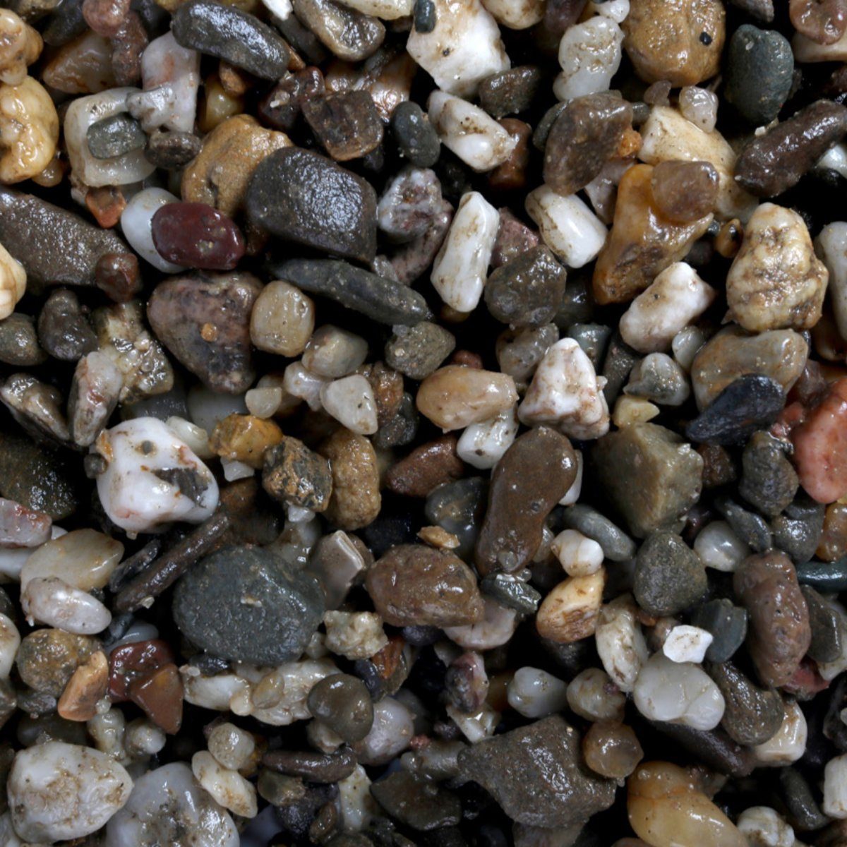 Europet-Bernina Aquarienkies Aquarienkies dunkel und grob 2 kg
