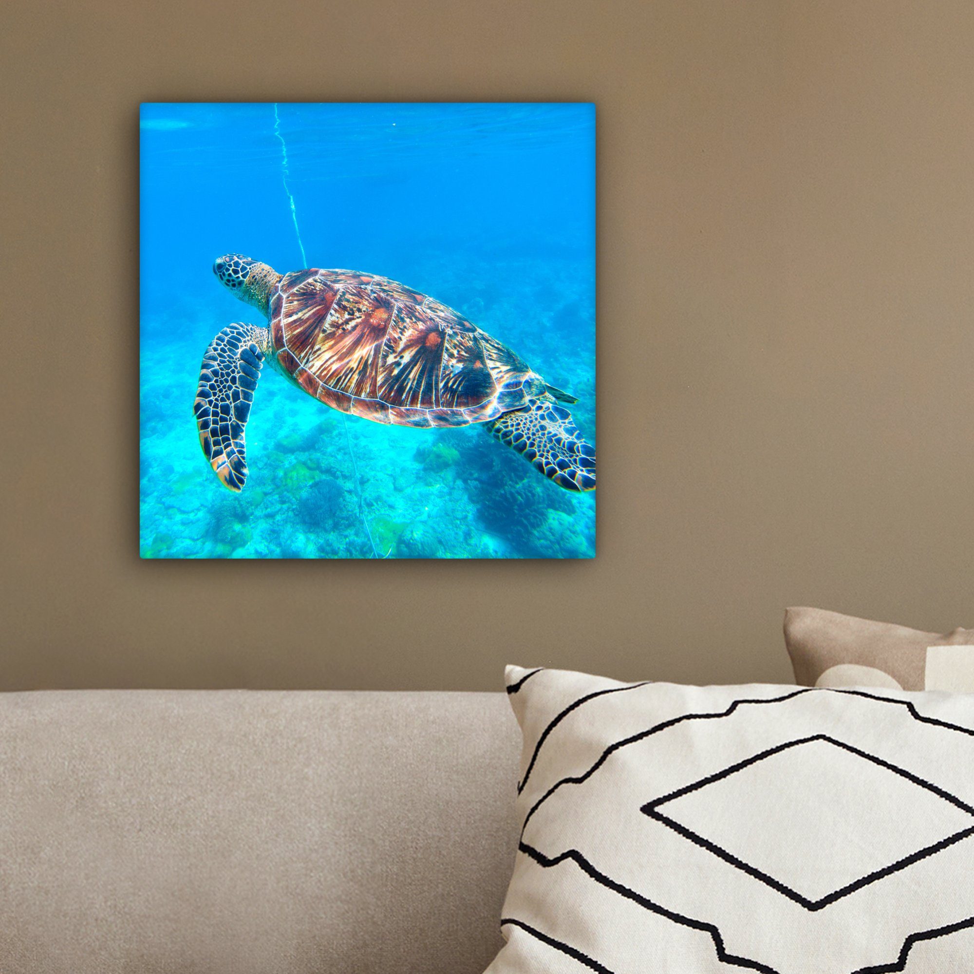 Wasser, Schlafzimmer, OneMillionCanvasses® Leinwand für Schildkröte Meer Leinwandbild St), cm Bilder - (1 - 20x20 Wohnzimmer