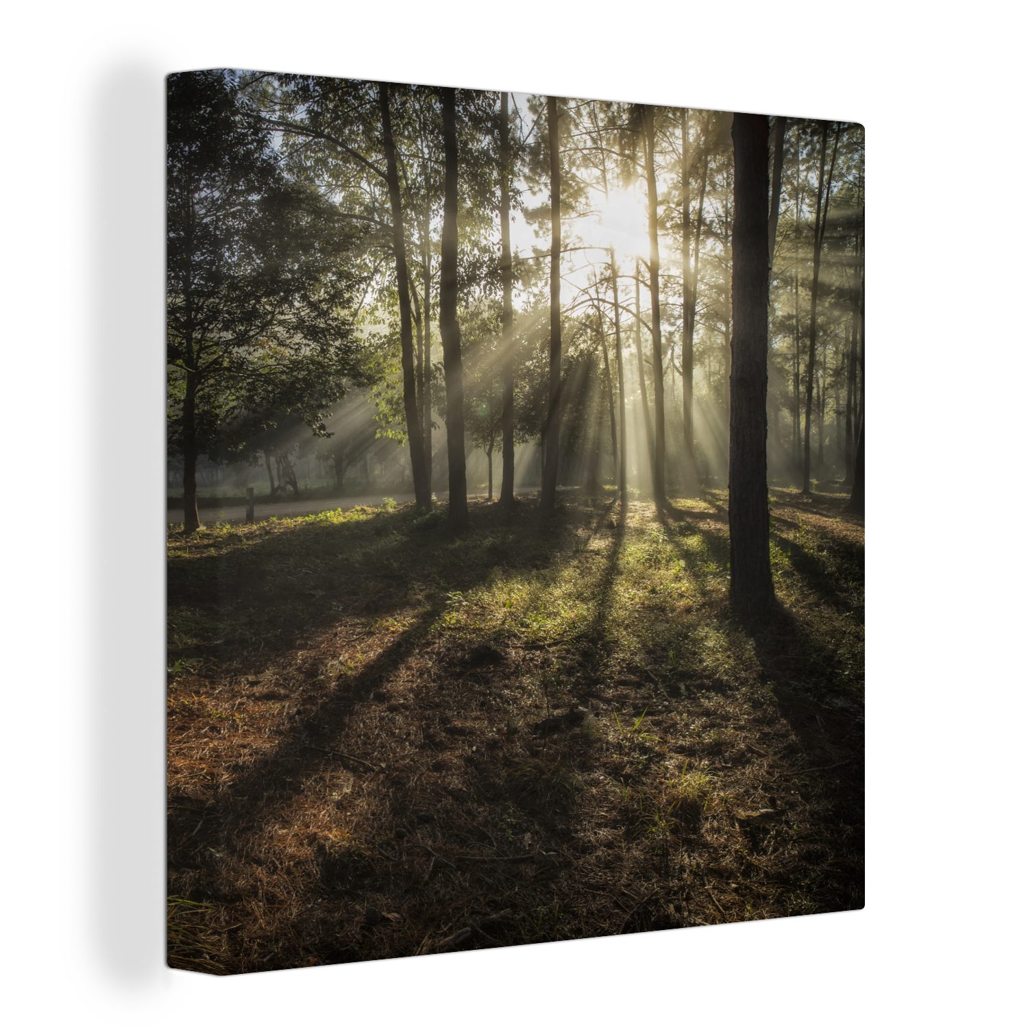 OneMillionCanvasses® Leinwandbild Wald - Sonne - Nebel, (1 St), Leinwand Bilder für Wohnzimmer Schlafzimmer