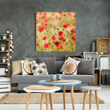 Bilderdepot24 Leinwandbild Blume Natur Modern Mohnblume grün Bild auf Leinwand Groß XXL, Bild auf Leinwand; Leinwanddruck in vielen Größen