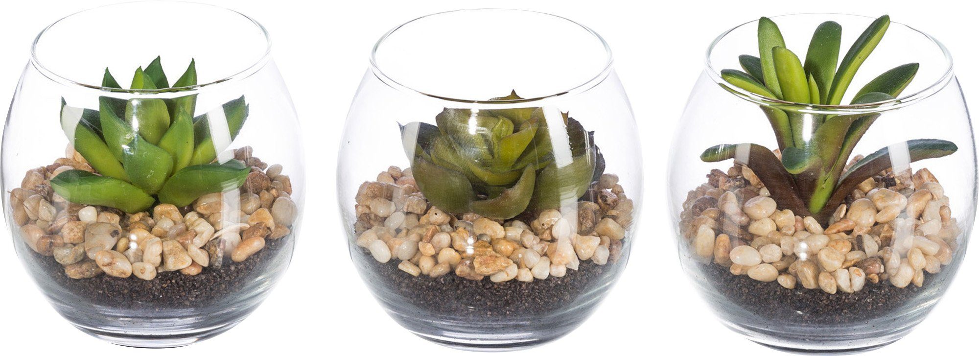 Kunstpflanze Kunstpflanzen Sukkulenten 3er-Set