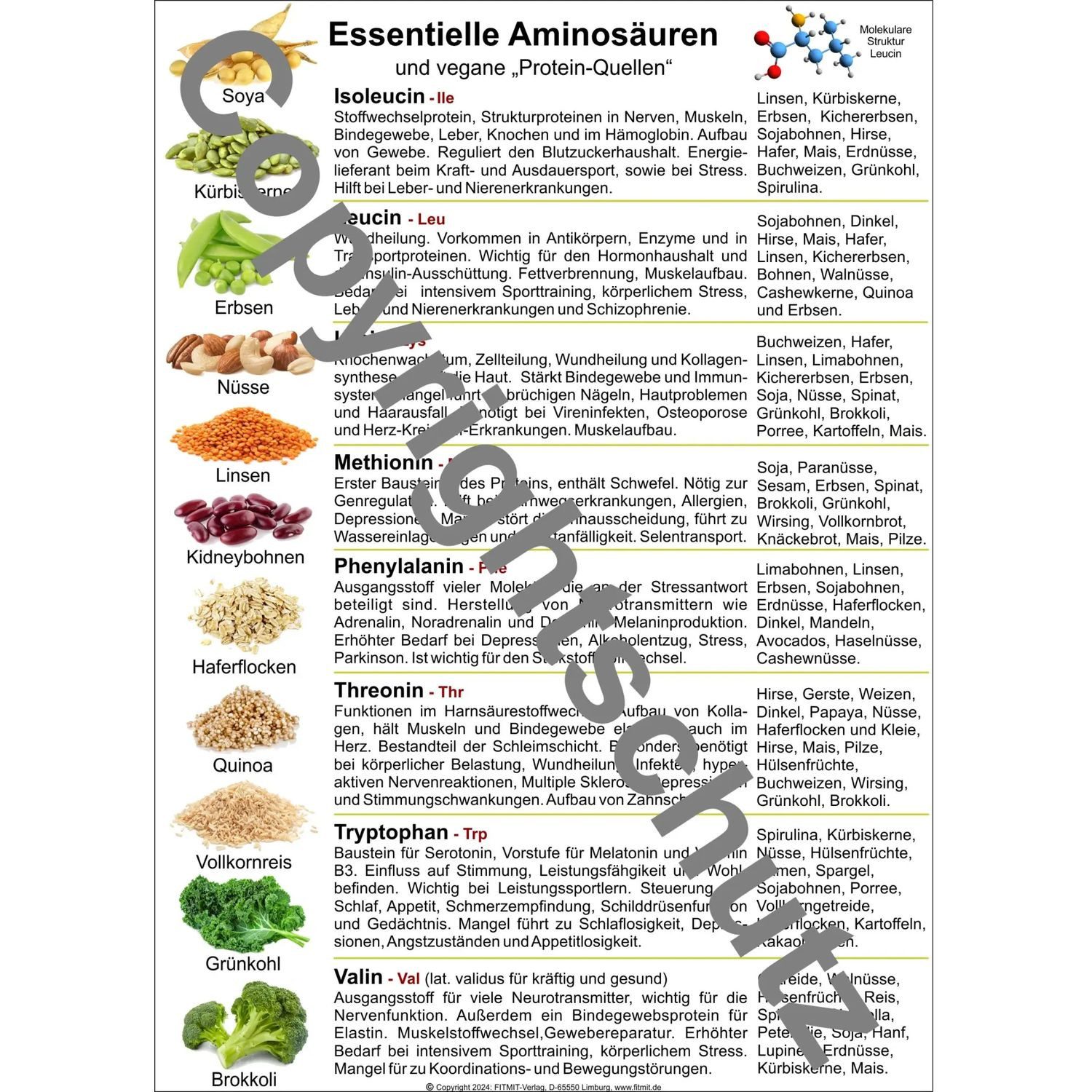Poster Aminosäuren und vegane Quellen