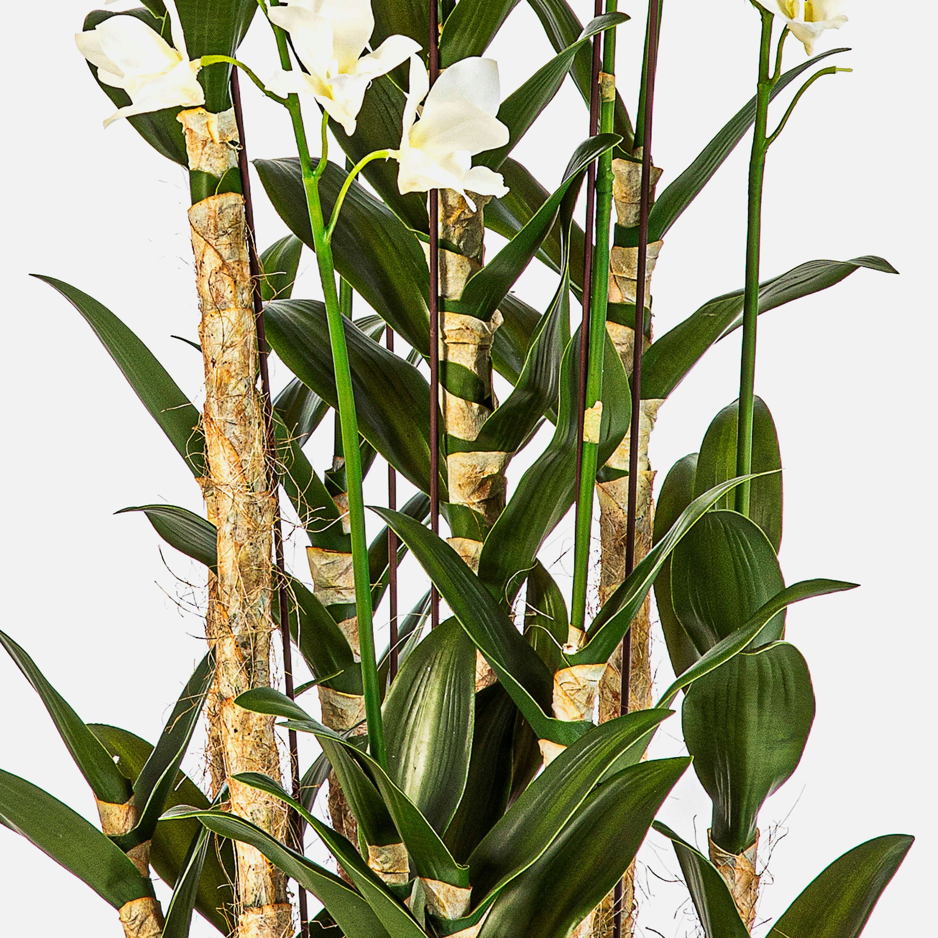 Kunstorchidee Künstliche Orchidee LOFINA im Dekotopf, weiß, 130cm Orchidee (Orchidee dendrobium sonia), artplants, Höhe 130.0 cm