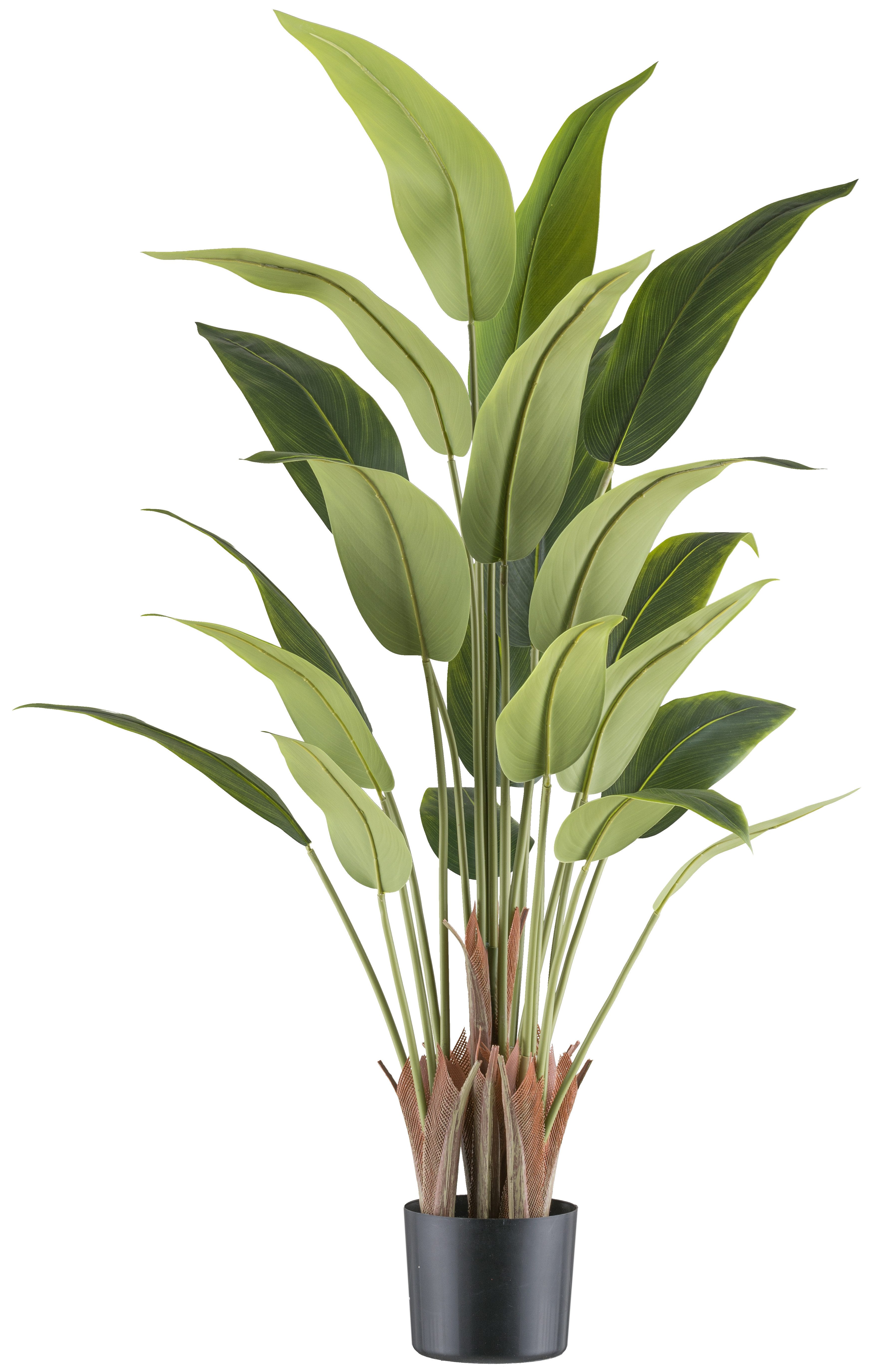 Kunstpflanze Strelitzia reginae, Creativ green, Höhe 120 cm, mit tollem Bla günstig online kaufen