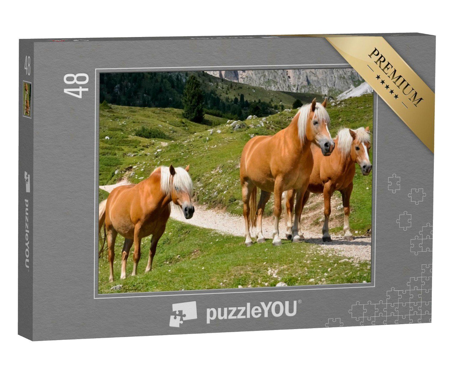 puzzleYOU Puzzle Haflingerpferde auf einer Alm, Südtirol, 48 Puzzleteile, puzzleYOU-Kollektionen Pferde, Haflinger Pferde