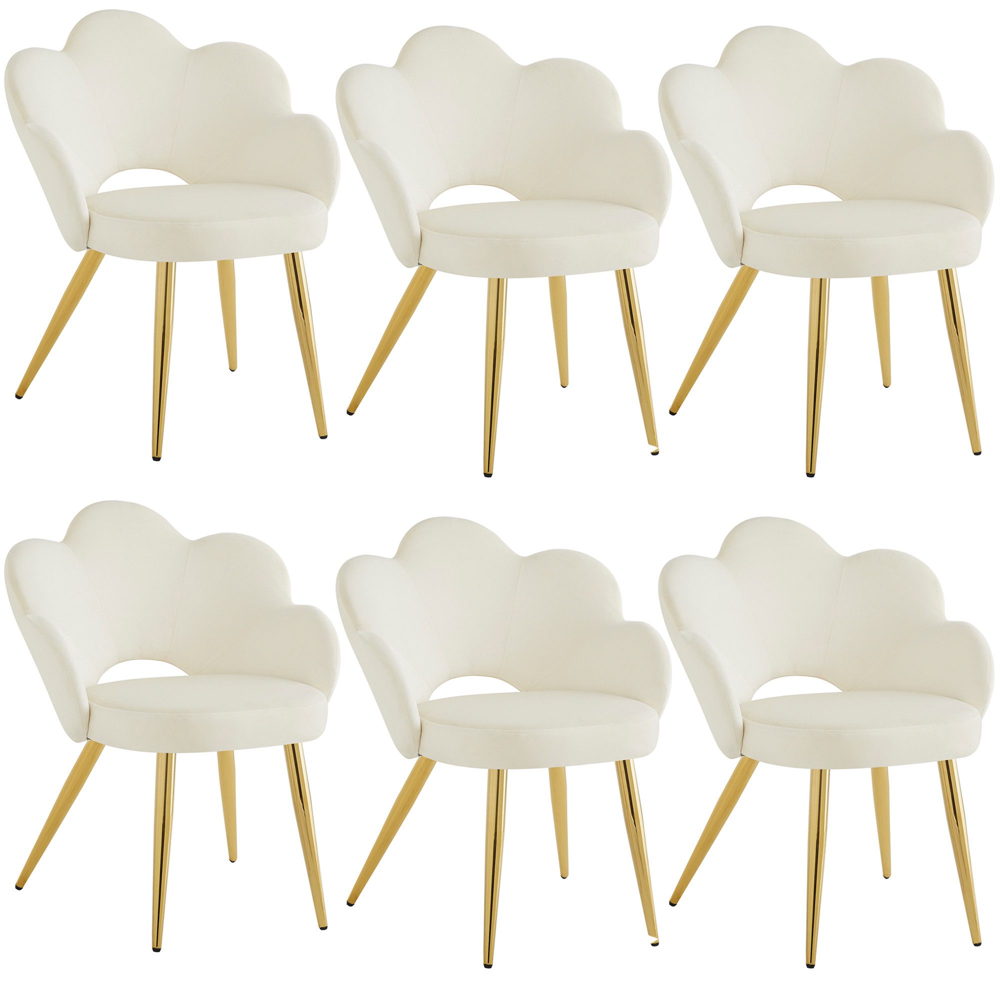Flieks Polsterstuhl (Set, 6 St), 6er günstig online kaufen
