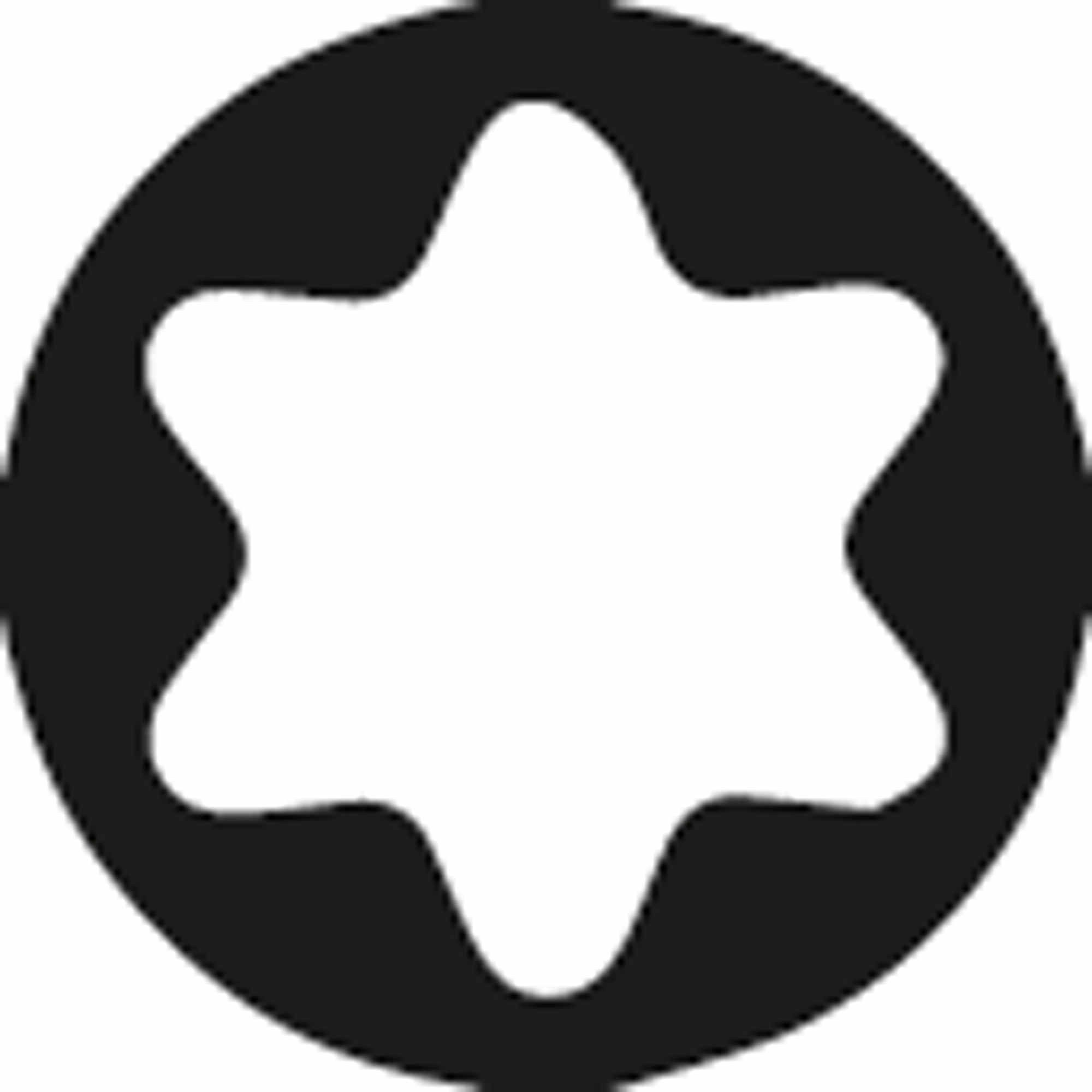 Stahlwille Steckschlüssel (63 St), Garnitur 1/4"+1/2" 63tlg. Torx