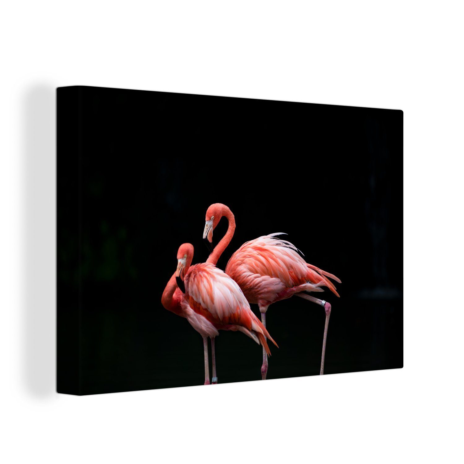 OneMillionCanvasses® Leinwandbild Zwei Flamingos mit schwarzem Hintergrund, (1 St), Wandbild Leinwandbilder, Aufhängefertig, Wanddeko, 30x20 cm