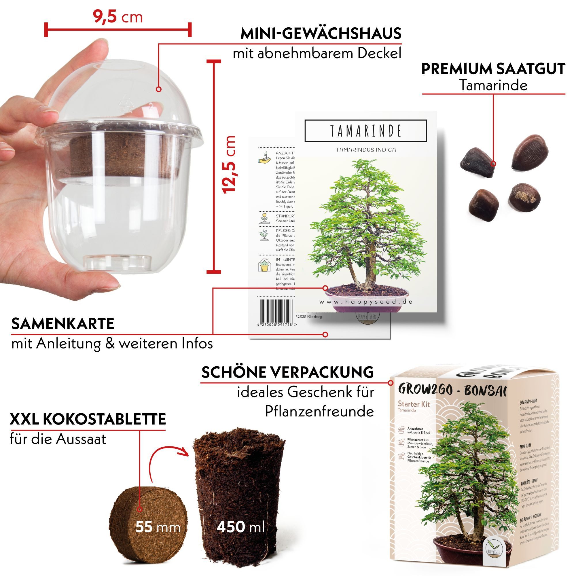 HappySeed Blumensamen GROW2GO Bonsai Starter Kit inkl. GRATIS eBook - Tamar günstig online kaufen
