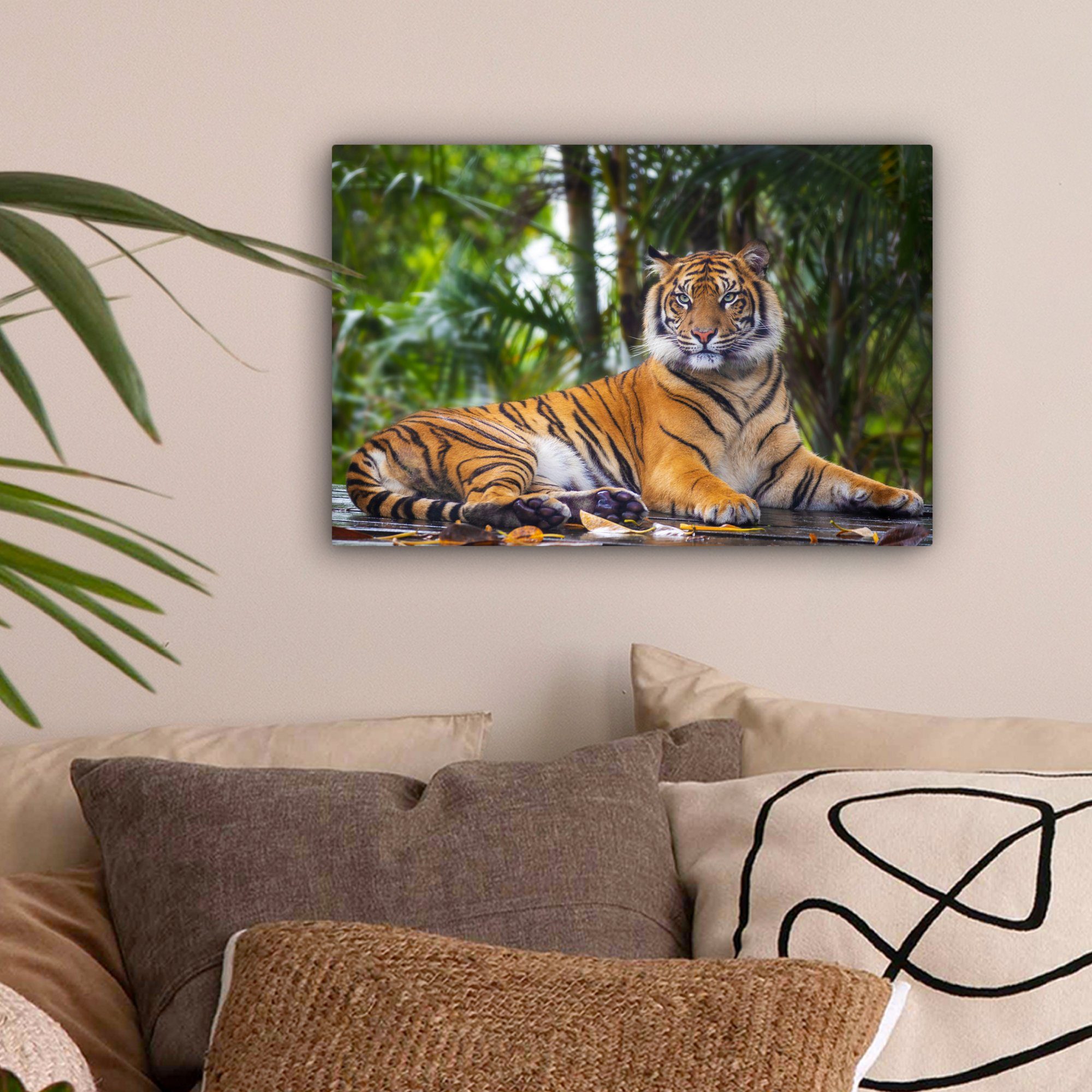 OneMillionCanvasses® Leinwandbild Tiger - Tiere - Wald - Dschungel, Fotodru günstig online kaufen