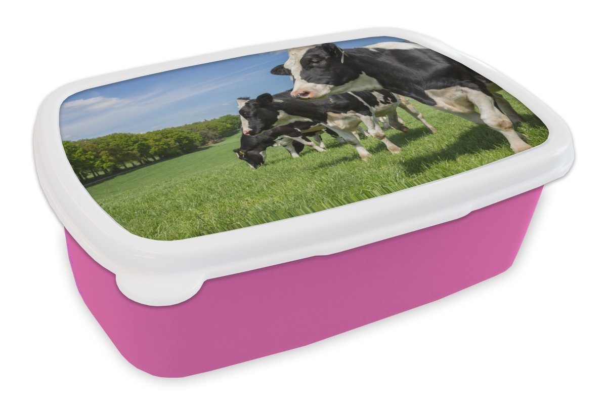 Kinder, rosa Lunchbox Gras Kunststoff, MuchoWow Erwachsene, Brotdose - Wiese, Kuh Brotbox Mädchen, für - Kunststoff (2-tlg), Snackbox,