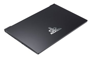 Hyrican Striker SET2343 Gaming-Notebook (43,94 cm/17,3 Zoll, Intel Core i7 11800H, GeForce RTX 3080, 1000 GB SSD, Windows 11, inkl. Gaming-Headset, Mauspad und Maus mit RGB-Beleuchtung)