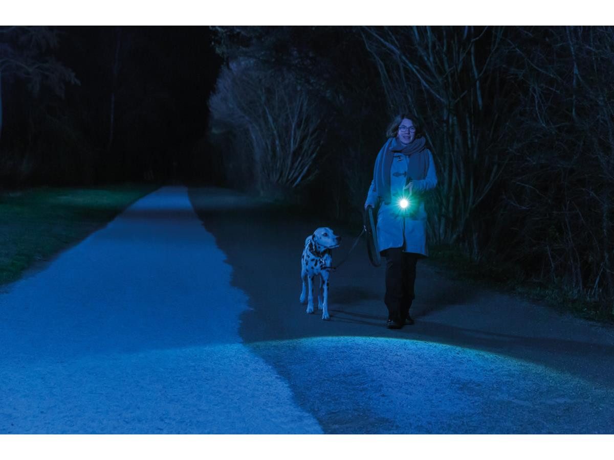 ABUS Taschenlampe TL-530 31,5cm, quaderförmigen Schaft, Leistungsstarkes St günstig online kaufen