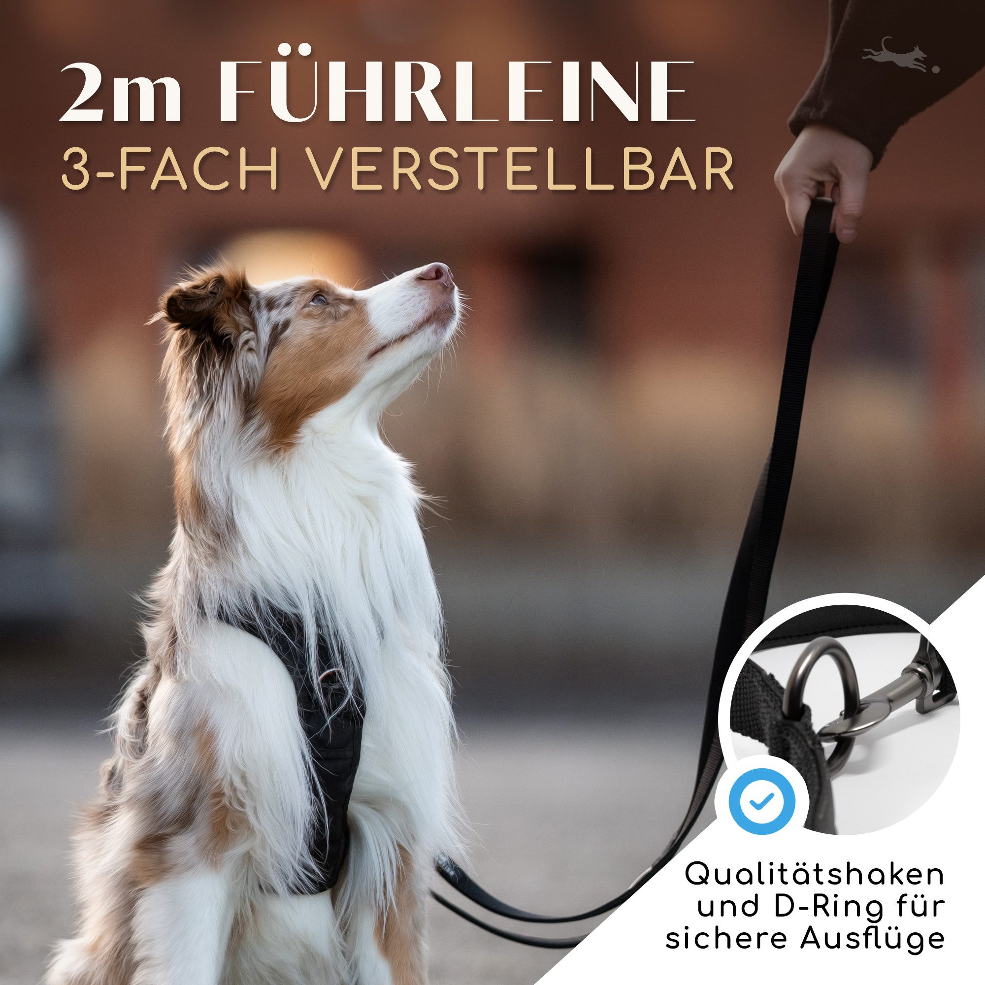 Freudentier Hundeleine 2m, verstellbar & gepolstert, Führleine aus Nylon, für mittelgroße & große Hunde