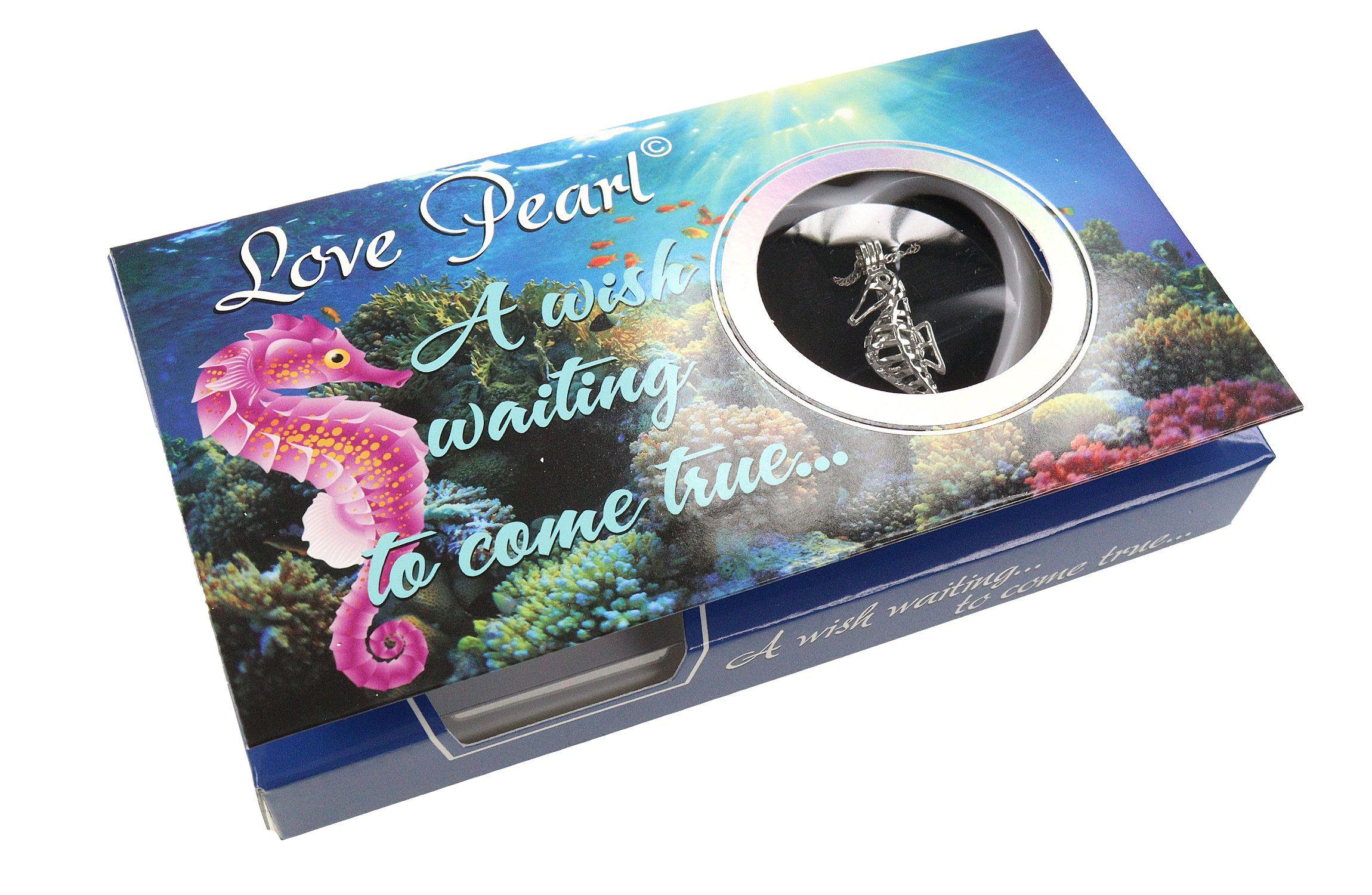 ELLUG Kette mit Anhänger Wunschperle aus echter Muschel mit Halskette und A günstig online kaufen