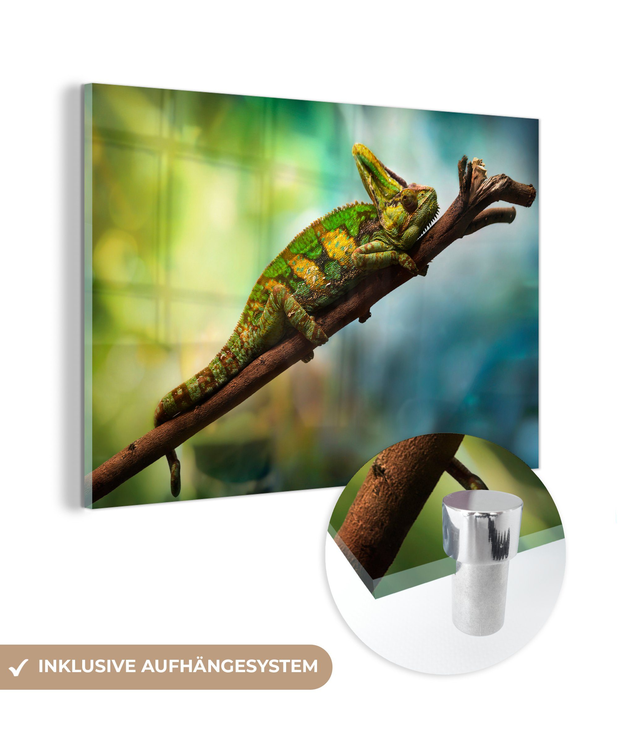 MuchoWow Acrylglasbild Grünes Chamäleon auf einem Ast, (1 St), Acrylglasbilder Wohnzimmer & Schlafzimmer