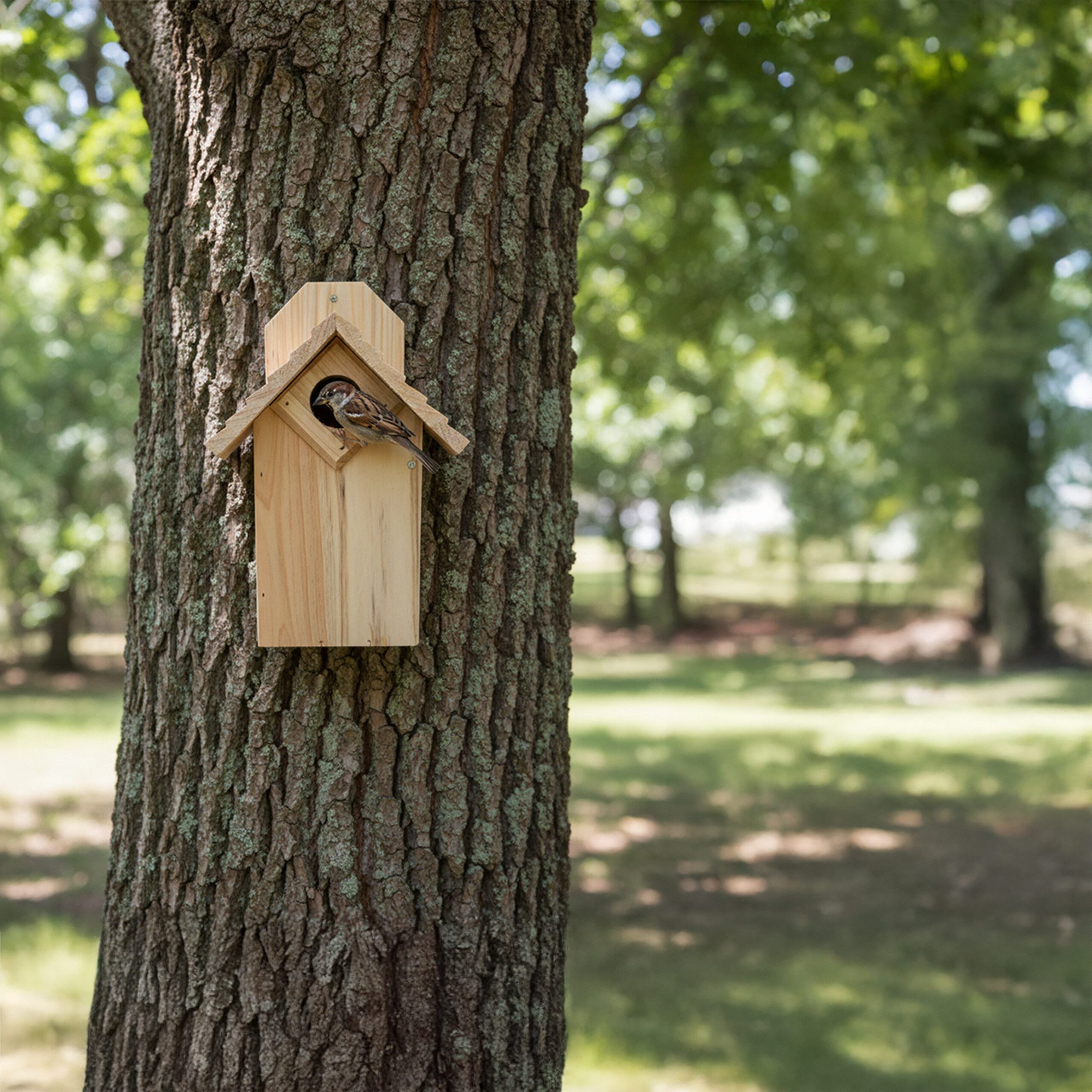 relaxdays Nistkasten aus Holz