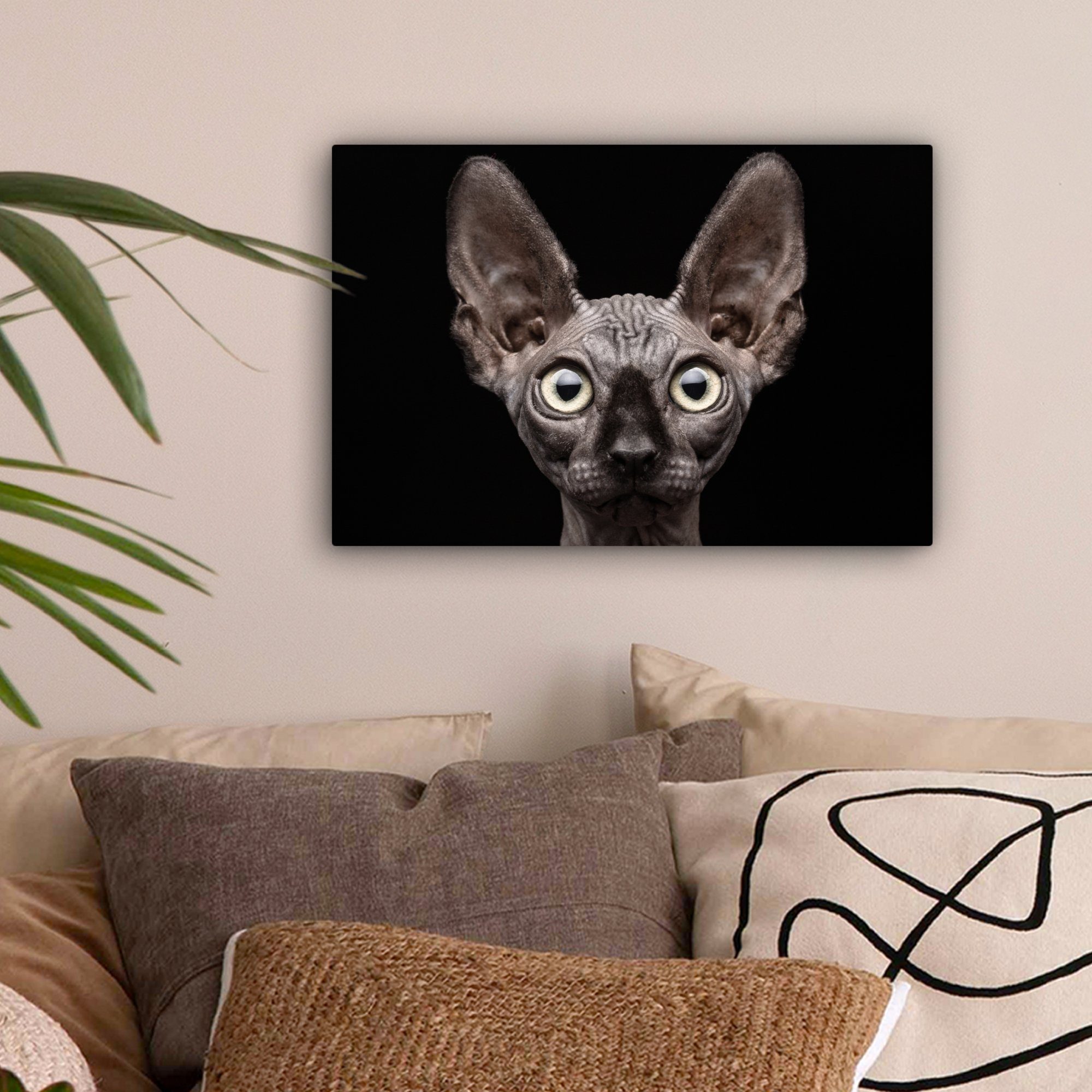 OneMillionCanvasses® Leinwandbild Katze - Haustiere - günstig online kaufen