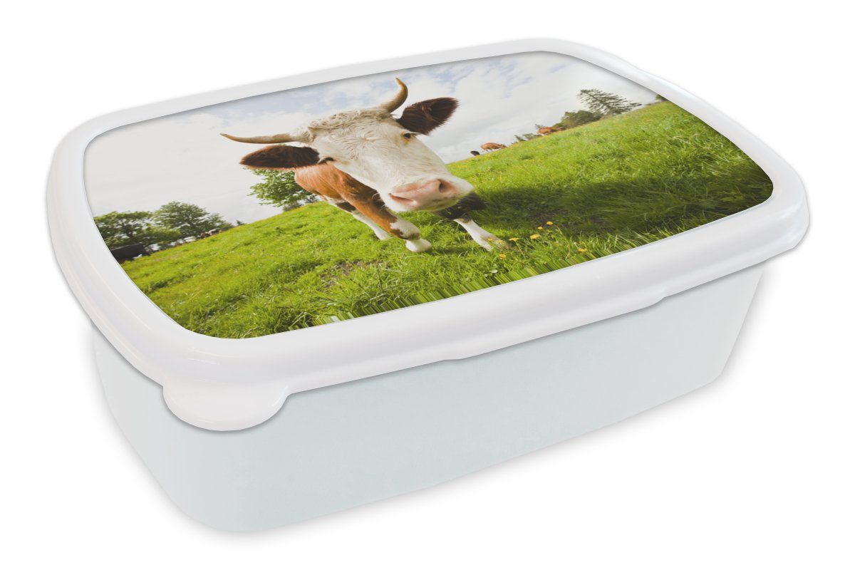 Kuh MuchoWow Brotbox Lunchbox - Brotdose, und Schatten, Licht für und (2-tlg), - Kinder Kunststoff, für Mädchen Jungs Erwachsene, weiß