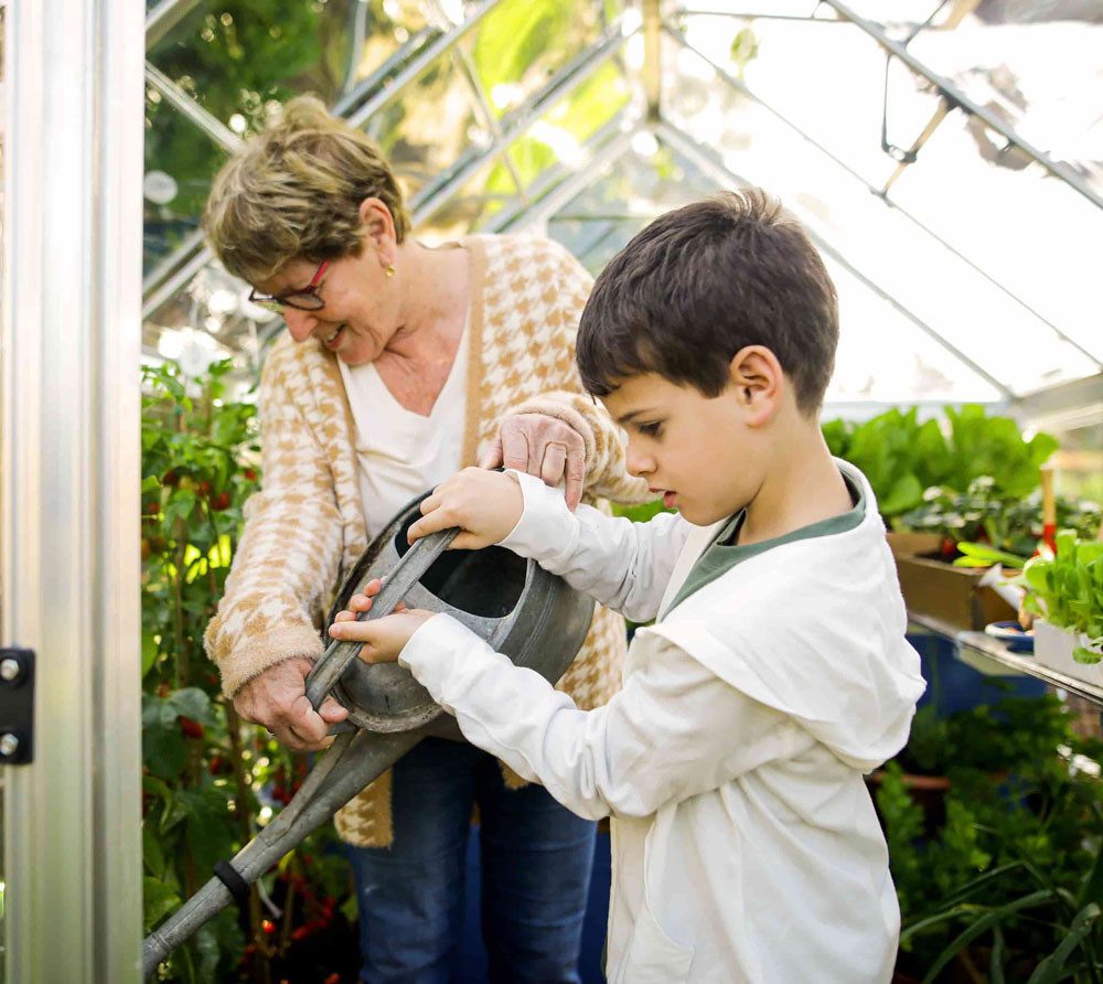 Palram - Canopia Gewächshaus, x 208  | ...