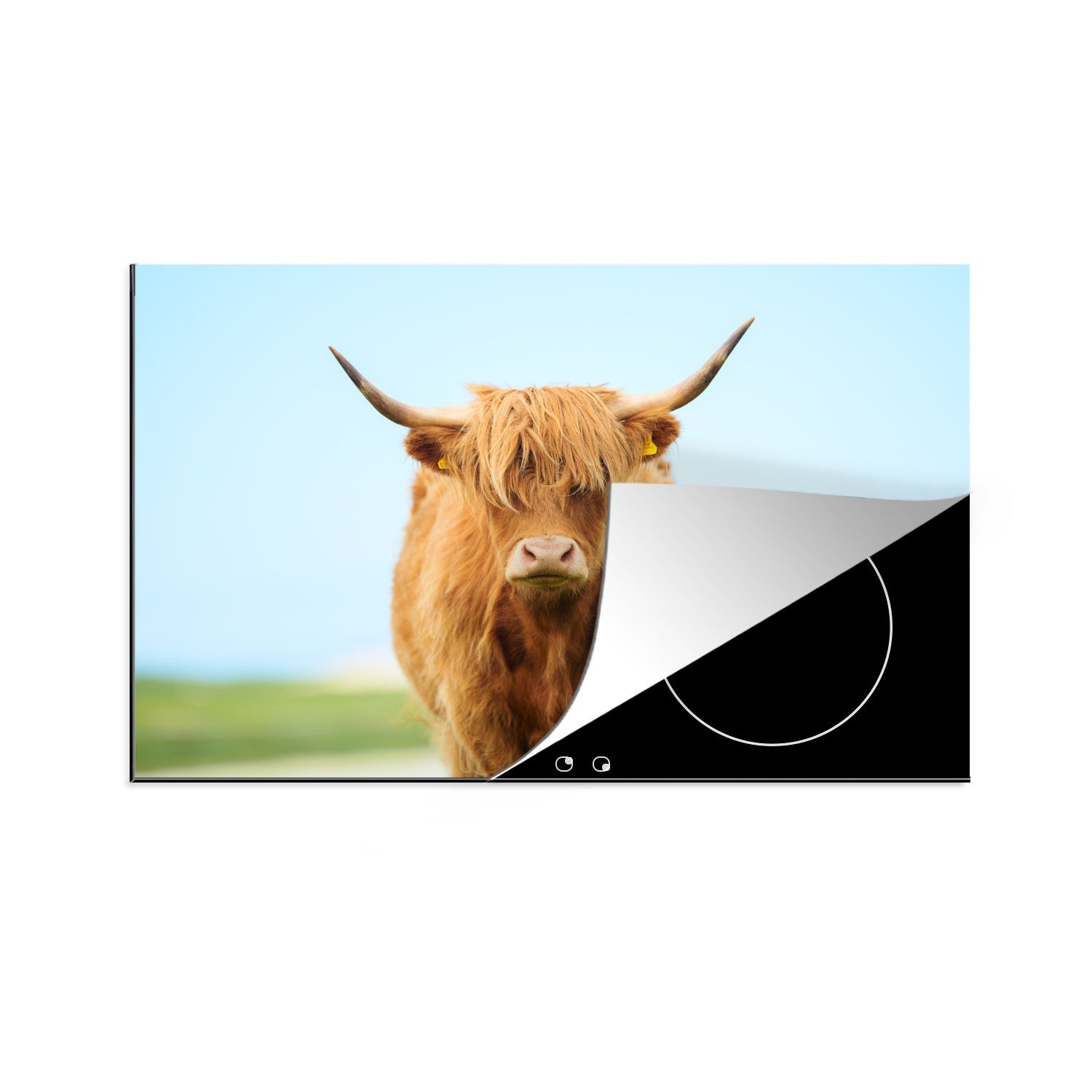 MuchoWow Herdblende-/Abdeckplatte Schottischer Highlander - Haare - Gras, Vinyl, (1 tlg), 81x52 cm, Induktionskochfeld Schutz für die küche, Ceranfeldabdeckung