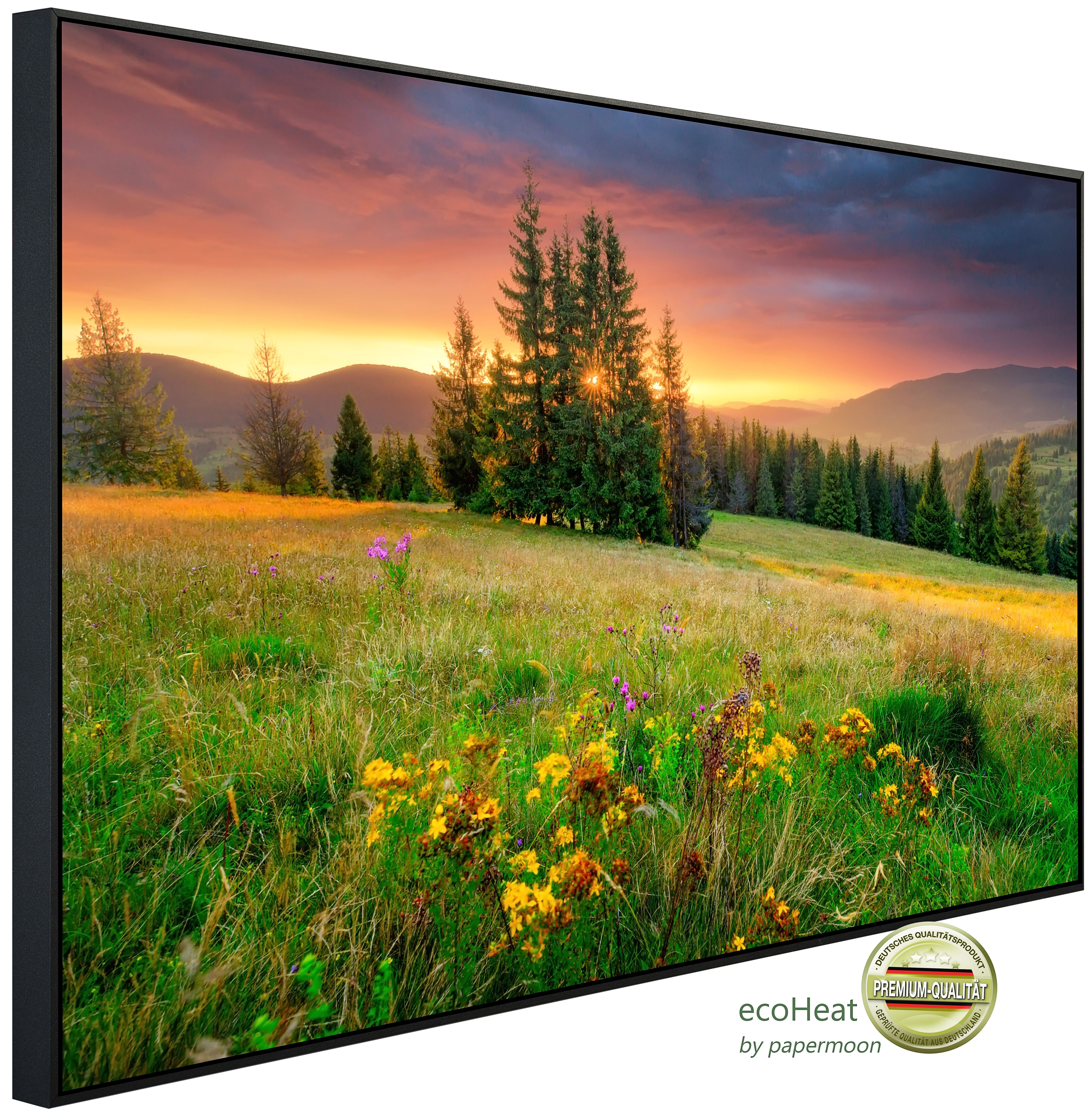Papermoon Infrarotheizung INFRAROT-BILD-HEIZUNG, Wiese, TÜV-Rheinland/GS zertifiziert, angenehme Strahlungswärme