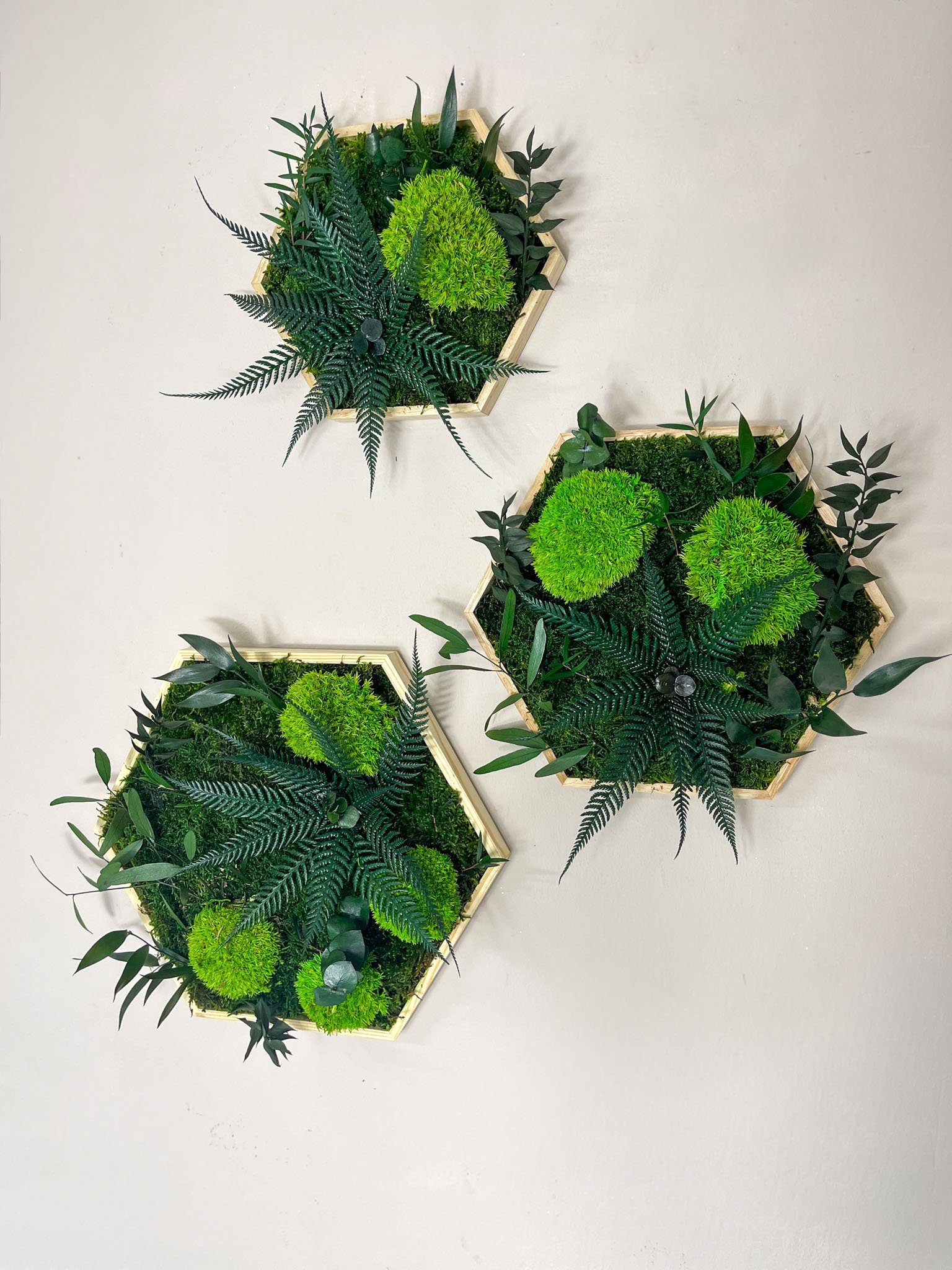 Gedankenwunder Manufaktur Bild Kleine Dschungelblume & Pflanzen Moosbild Hexagon Sechseck Holzrahmen