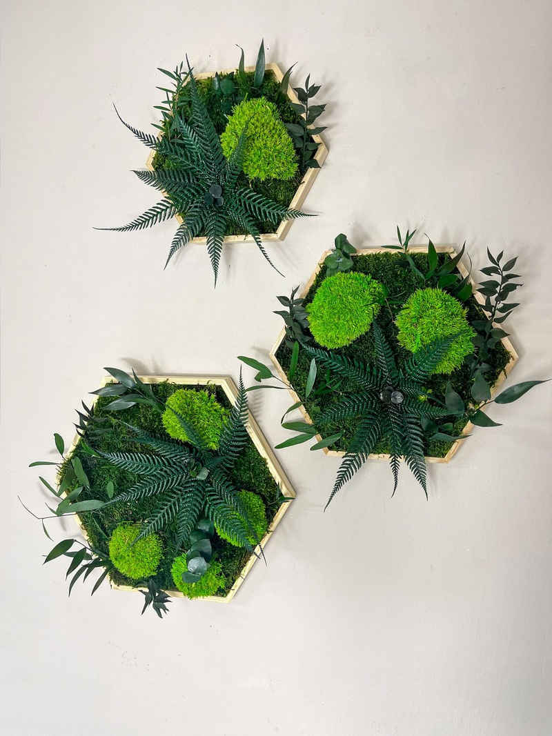 Gedankenwunder Manufaktur Bild Kleine Dschungelblume & Pflanzen Moosbild Hexagon Sechseck Holzrahmen
