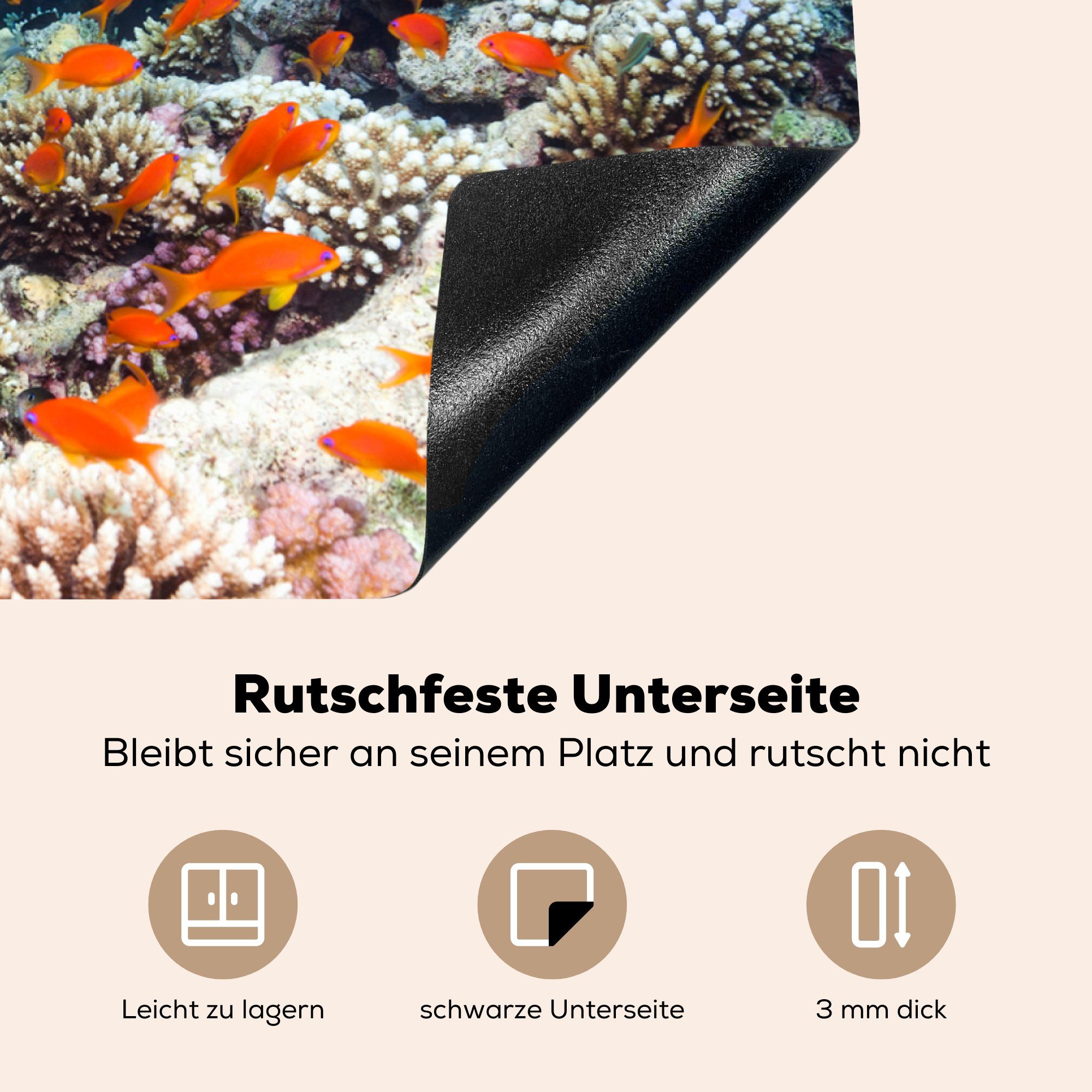 81x52 Schutz küche, (1 Herdblende-/Abdeckplatte Induktionskochfeld über cm, Ceranfeldabdeckung Meer, Vinyl, schwimmen Hartkorallen MuchoWow für Roten im die tlg), Fische Gelbe