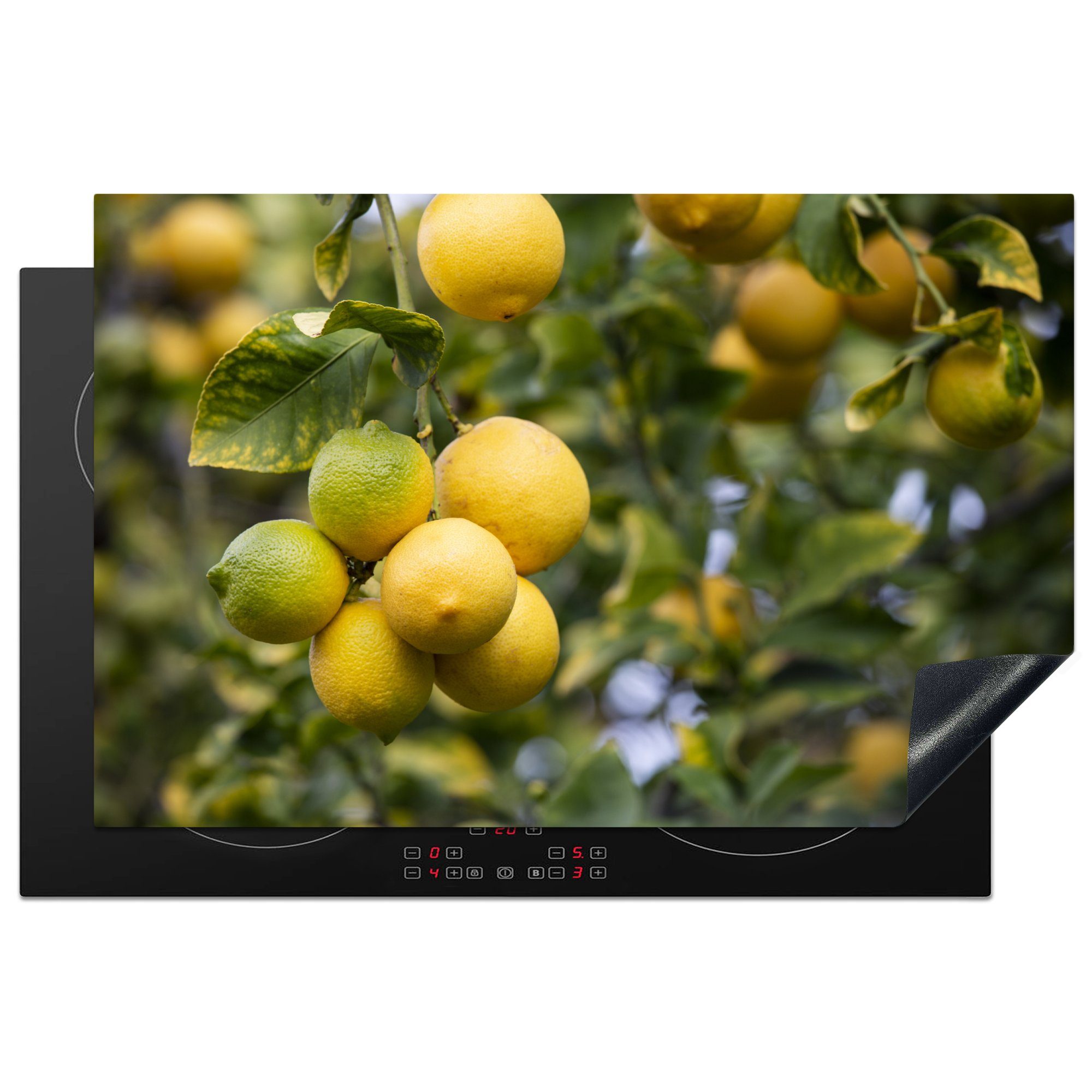 MuchoWow Herdblende-/Abdeckplatte Zitronenpflanze - Obstbäume - Gelb, Vinyl, (1 tlg), 81x52 cm, Induktionskochfeld Schutz für die küche, Ceranfeldabdeckung
