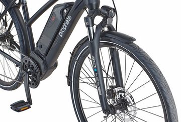 Prophete E-Bike Entdecker PowerEdition, 10 Gang Shimano Deore Schaltwerk, Kettenschaltung, Mittelmotor, 672 Wh Akku, (mit Seitentasche)