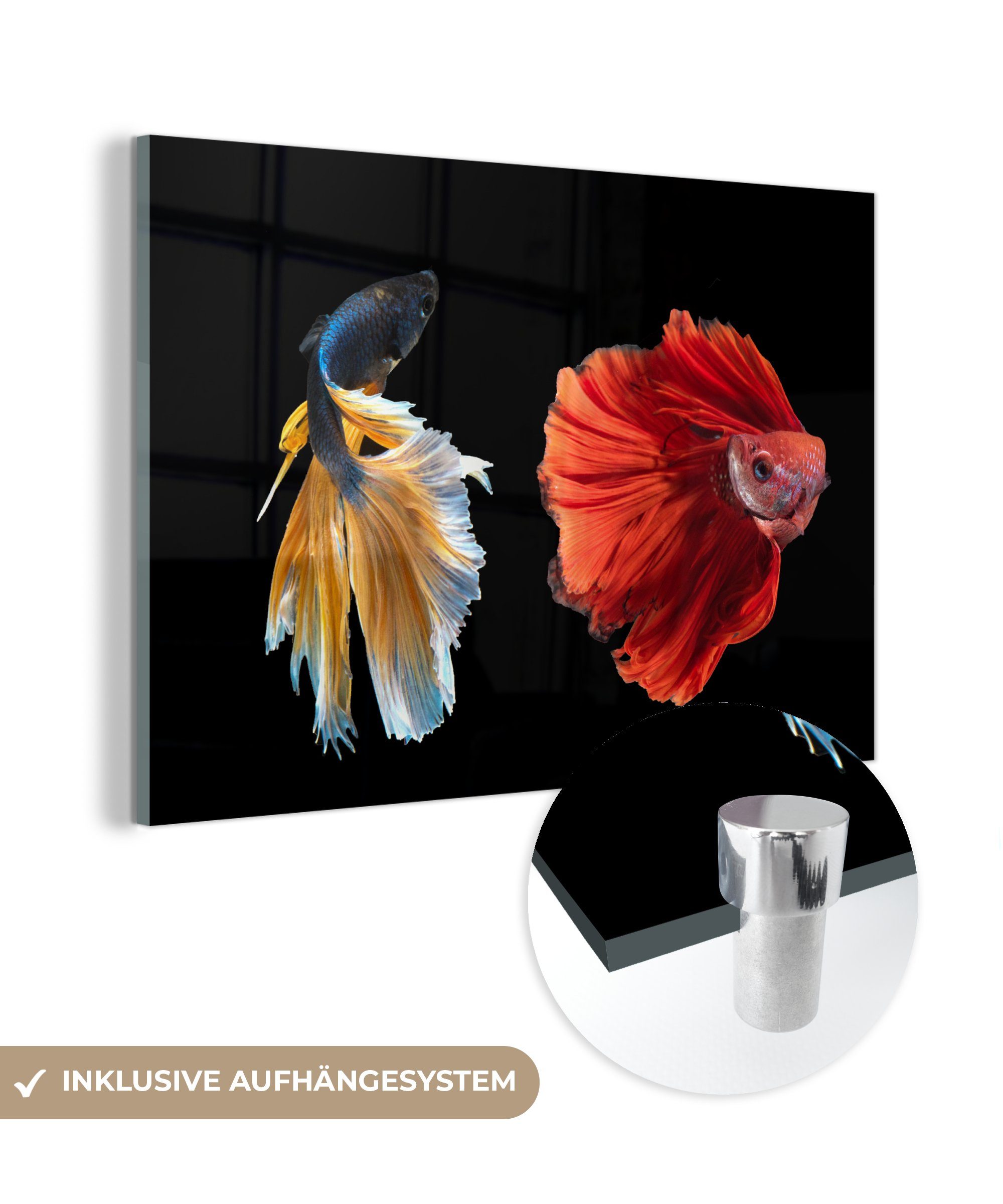 & - - - Abstrakt MuchoWow Fisch Tiere Meer, Wohnzimmer St), (1 Acrylglasbilder Acrylglasbild Schlafzimmer