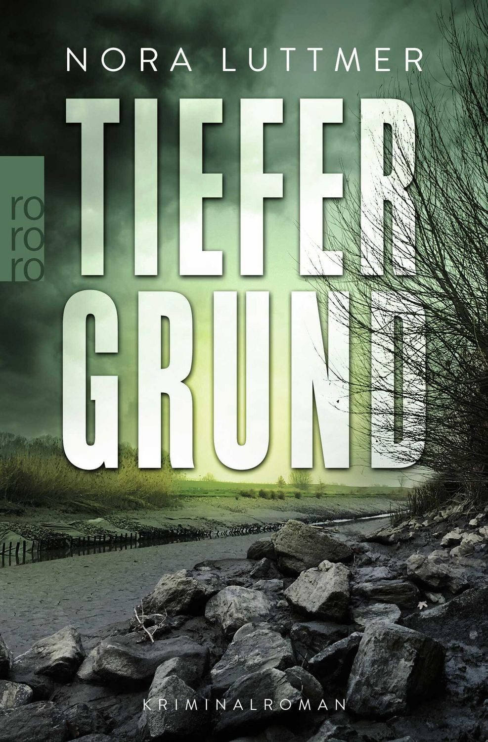 Tiefergrund / Nora Luttmer, Kriminalroman