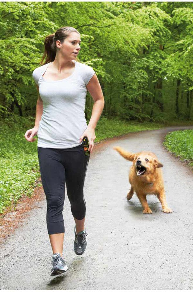 Ballistol Marderspray BALLISTOL Pfeffer-KO-Spray FOG, 40ml Tierabwehrspray, BALLISTOL Pfeffer-KO-Spray FOG, Tierabwehrspray