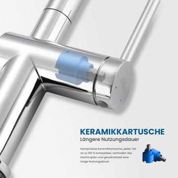 Auralum Küchenarmatur 360° Spültischarmatur Wasserhahn Küche Ausziehbar, 2 Strahlarten